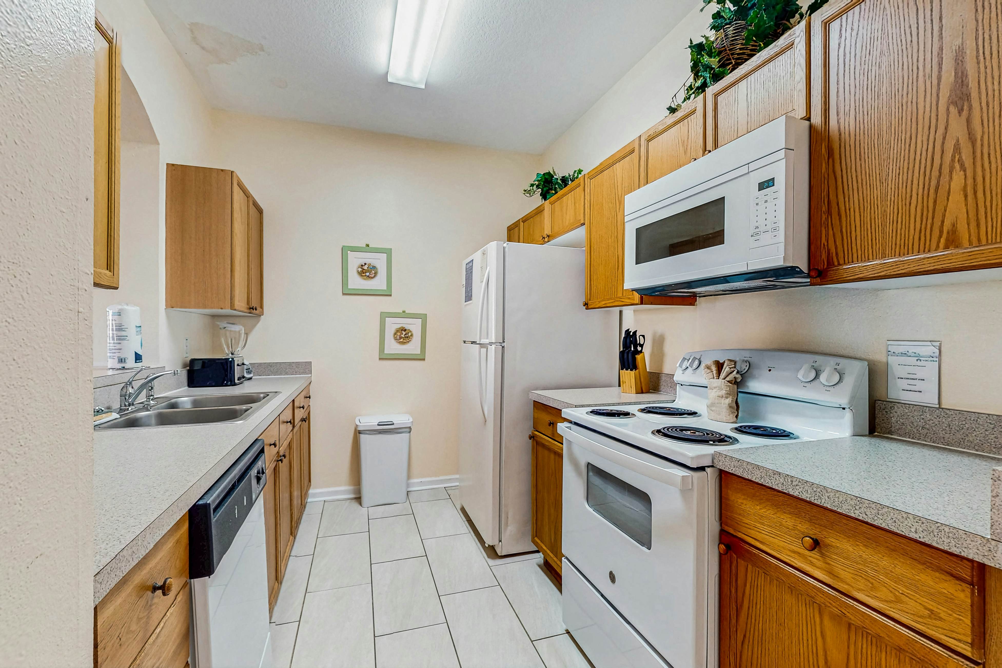 Coconut Cool - Windsor Palms