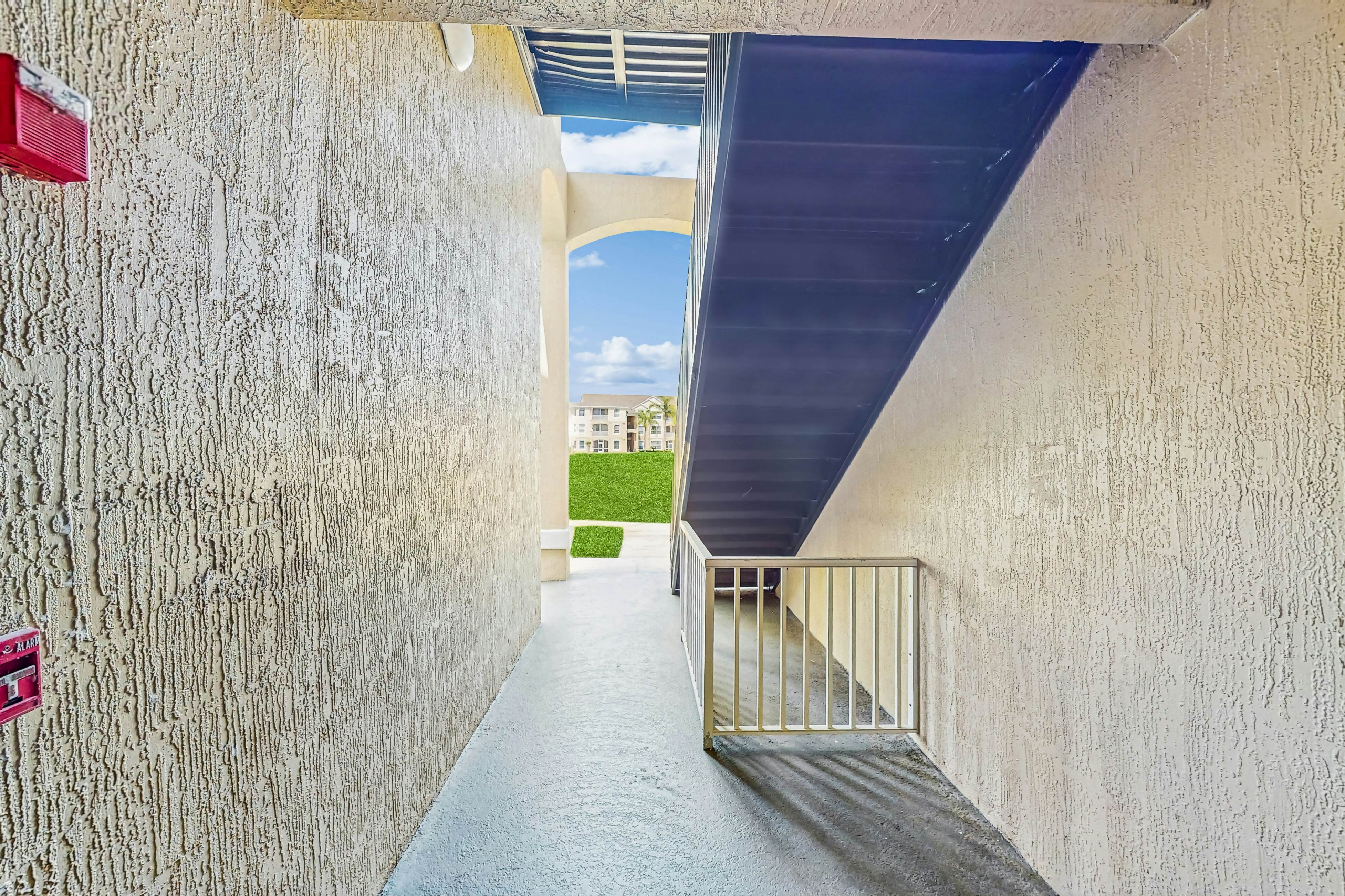 Coconut Cool - Windsor Palms