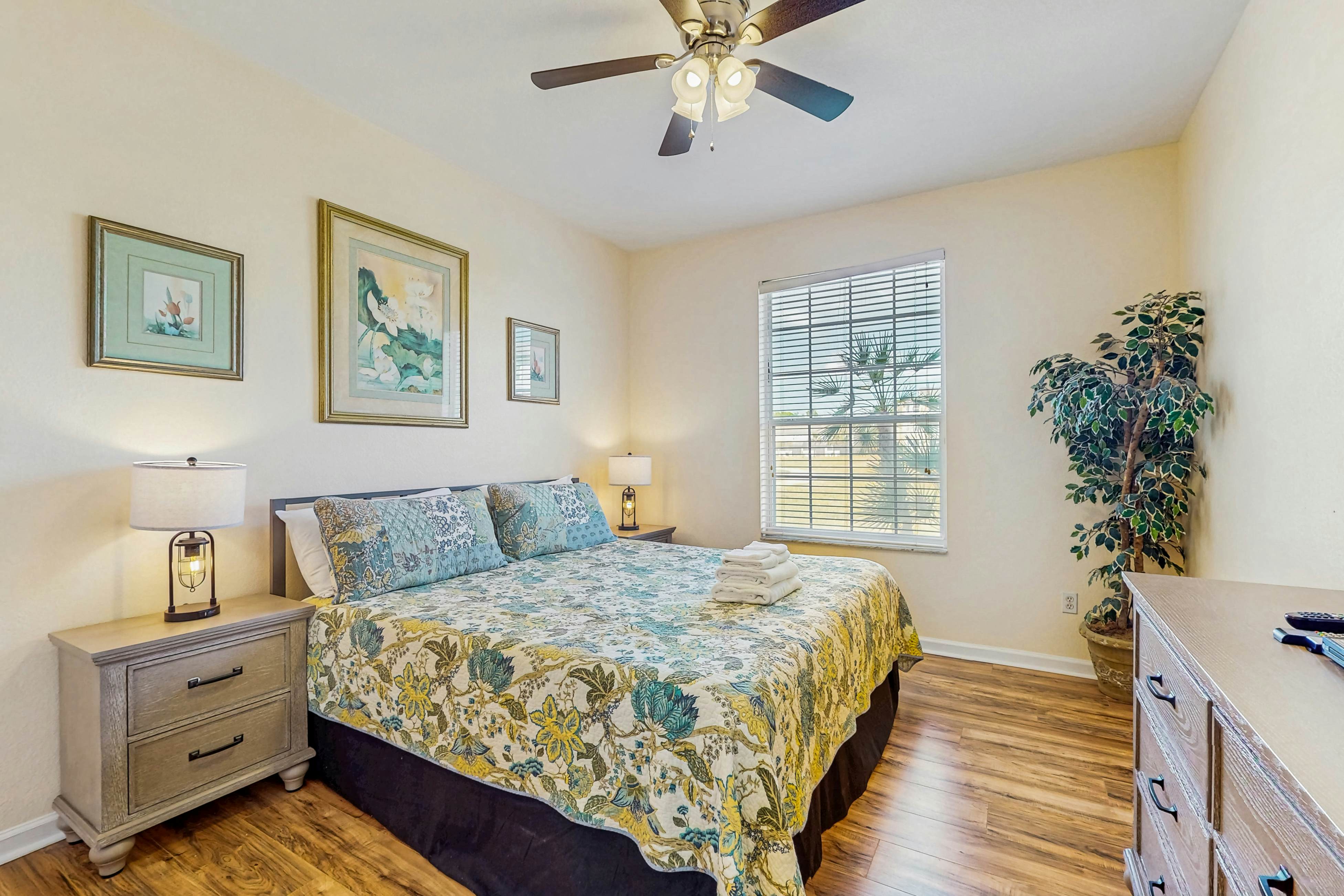 Coconut Cool - Windsor Palms