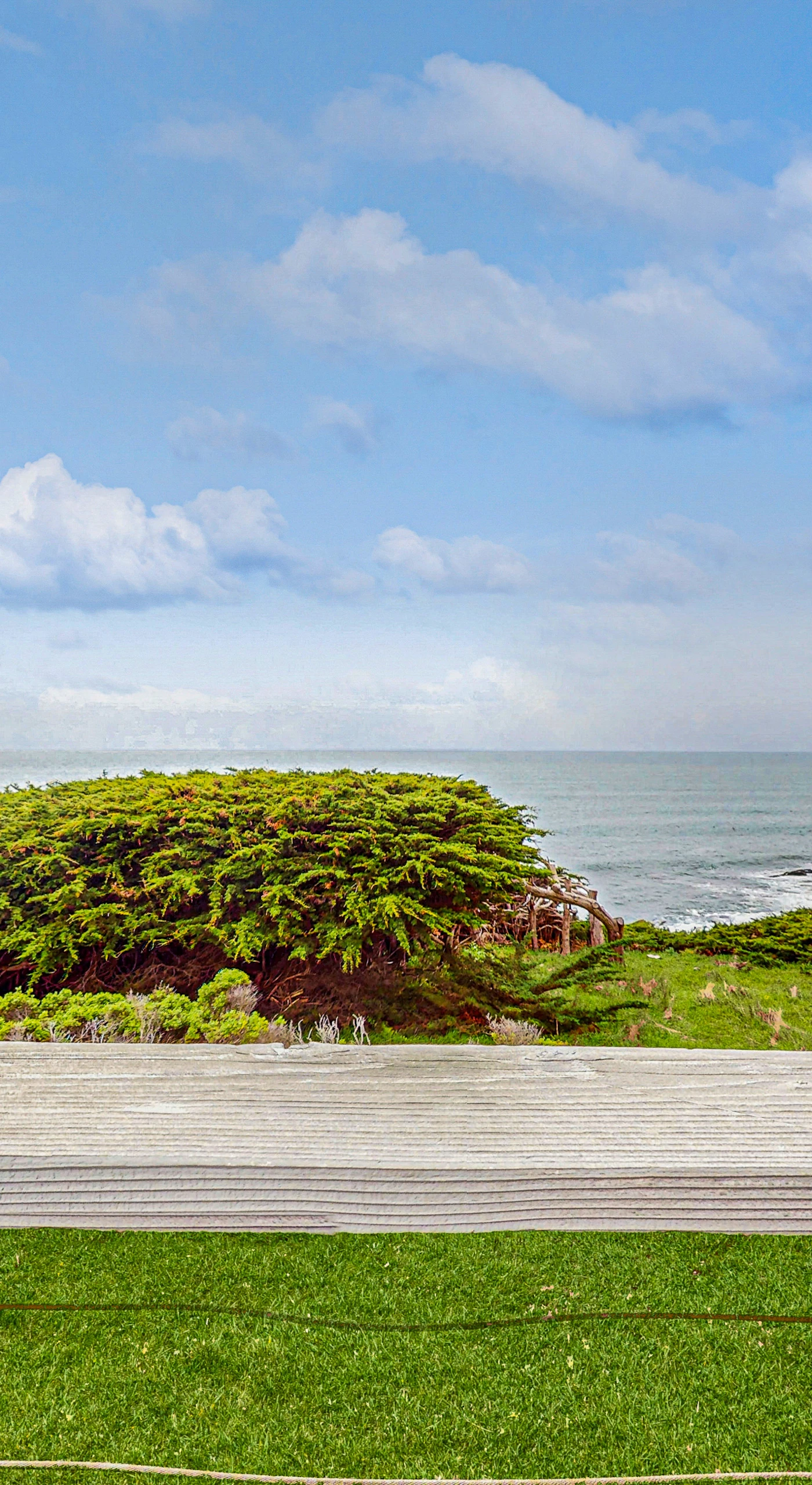 Gaze at the stunning ocean view from your outdoor sanctuary, where nature's beauty is just a glance away.