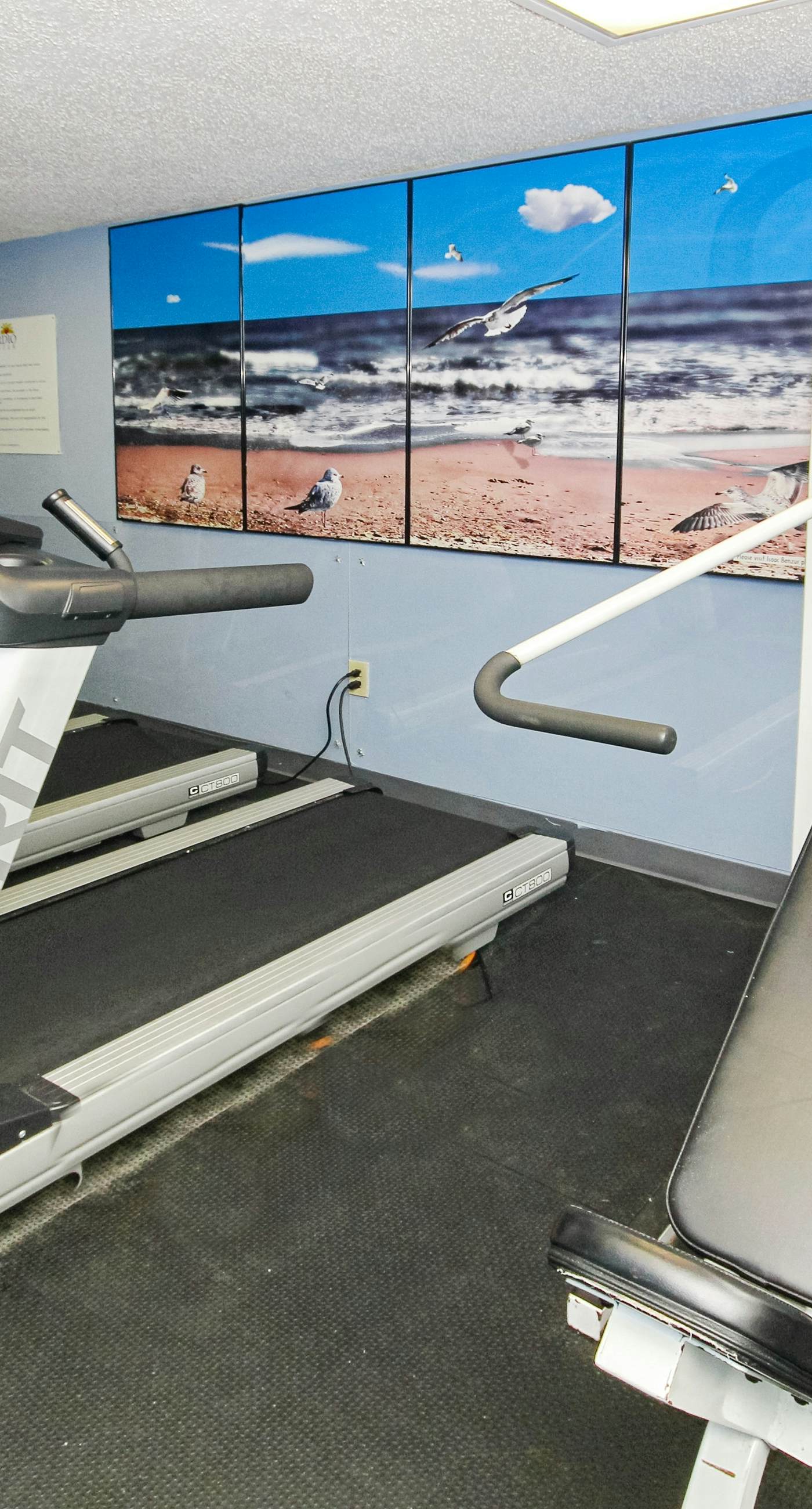 Beach & Golf Vacation Dream