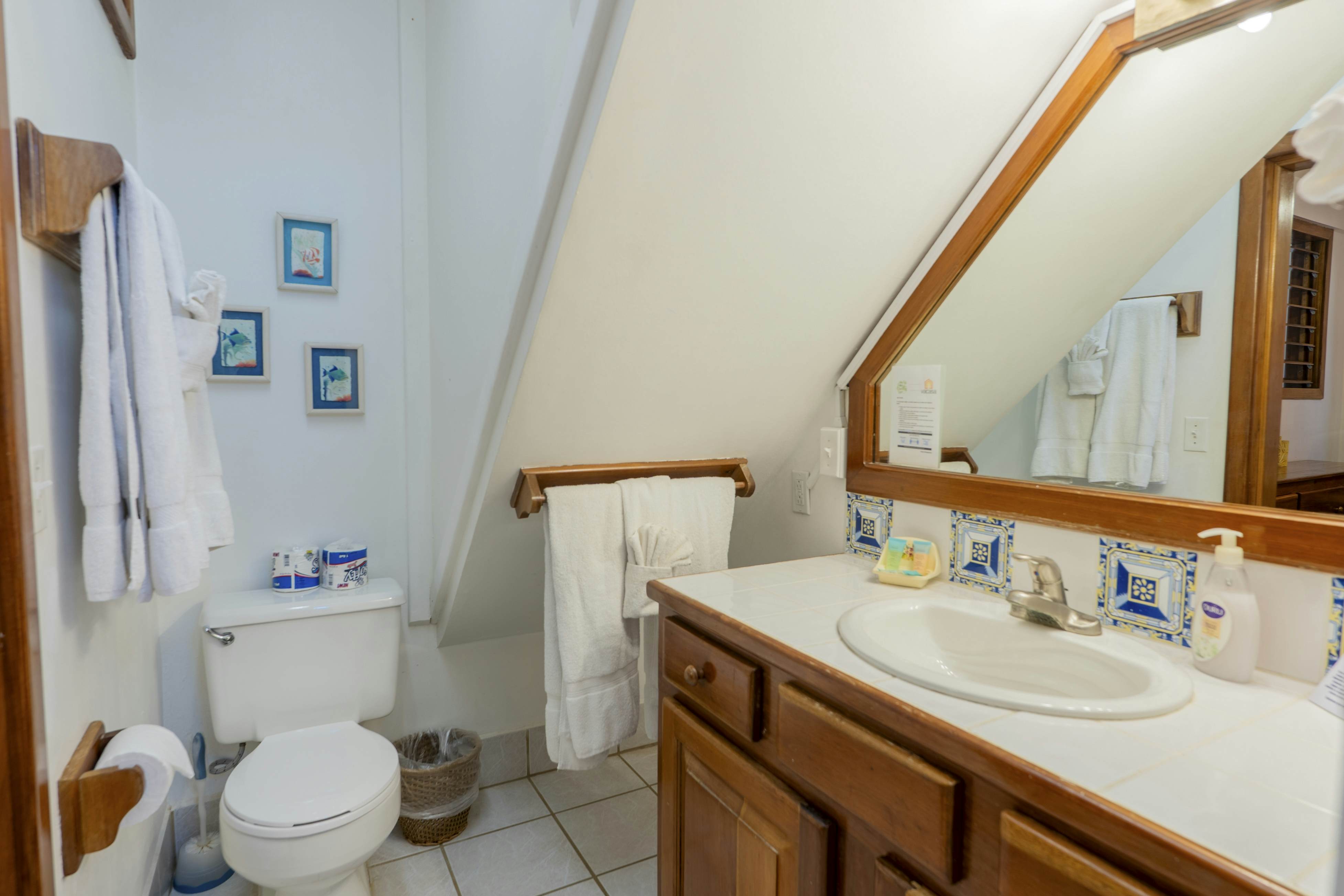 Cacao #18 at Caribe Island  -Gold Standard Certified