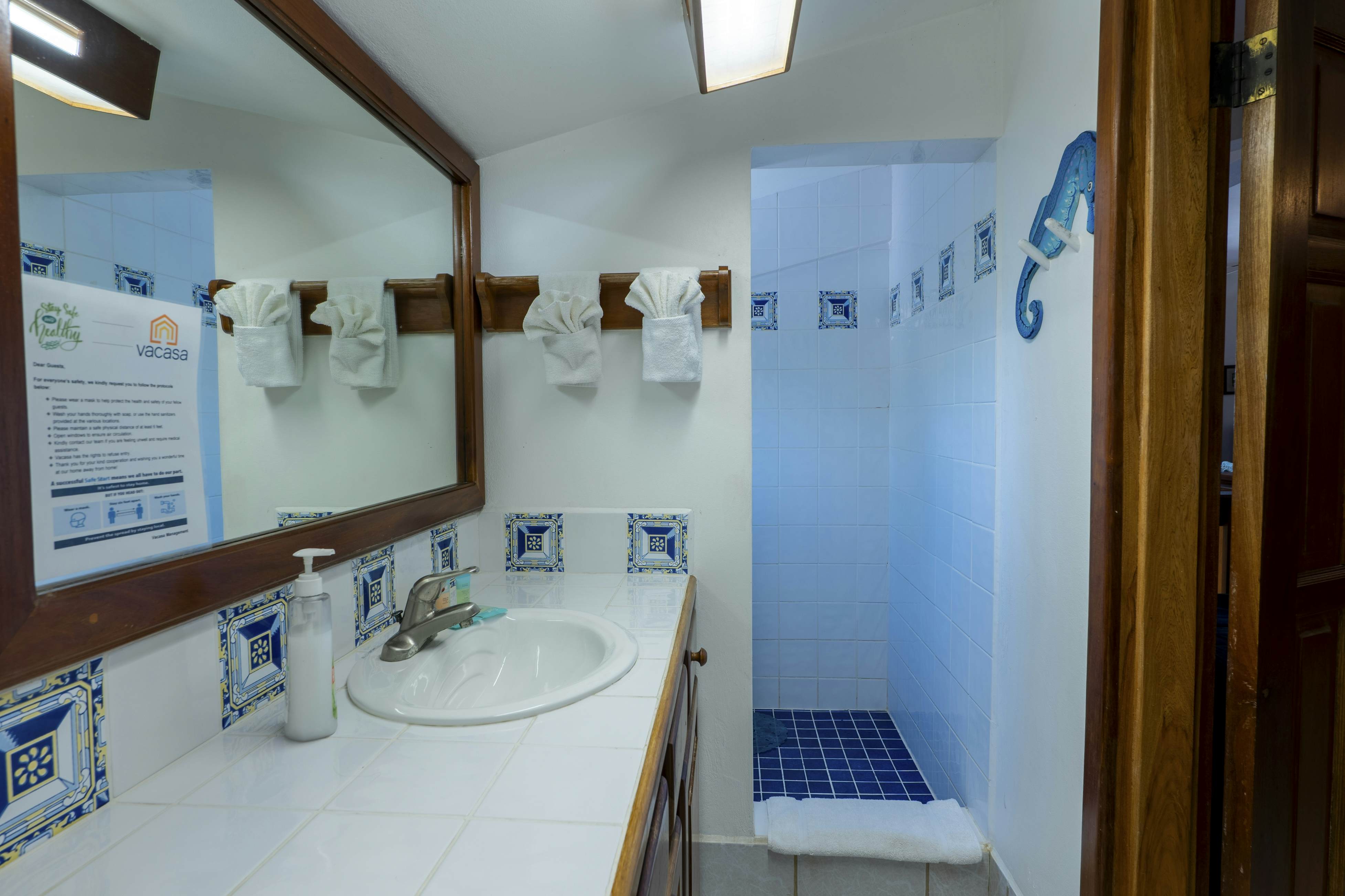 Cacao #18 at Caribe Island  -Gold Standard Certified