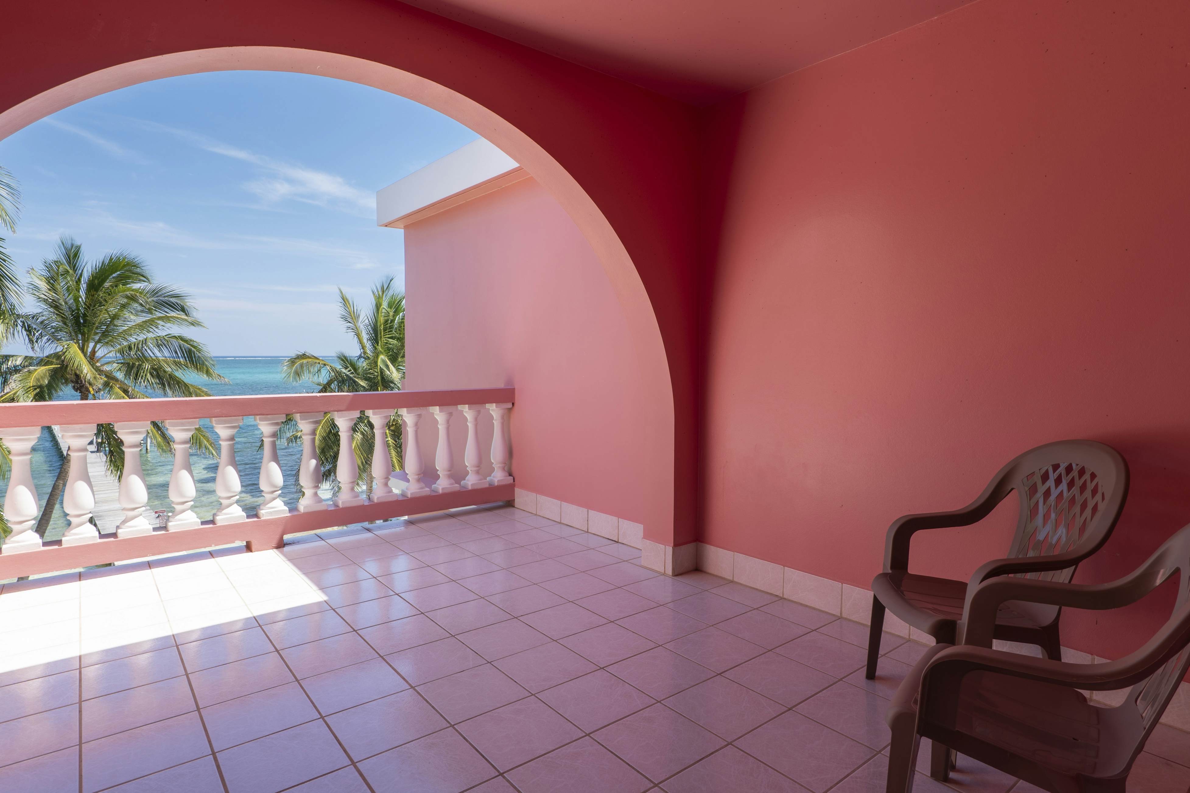 Cacao #18 at Caribe Island  -Gold Standard Certified