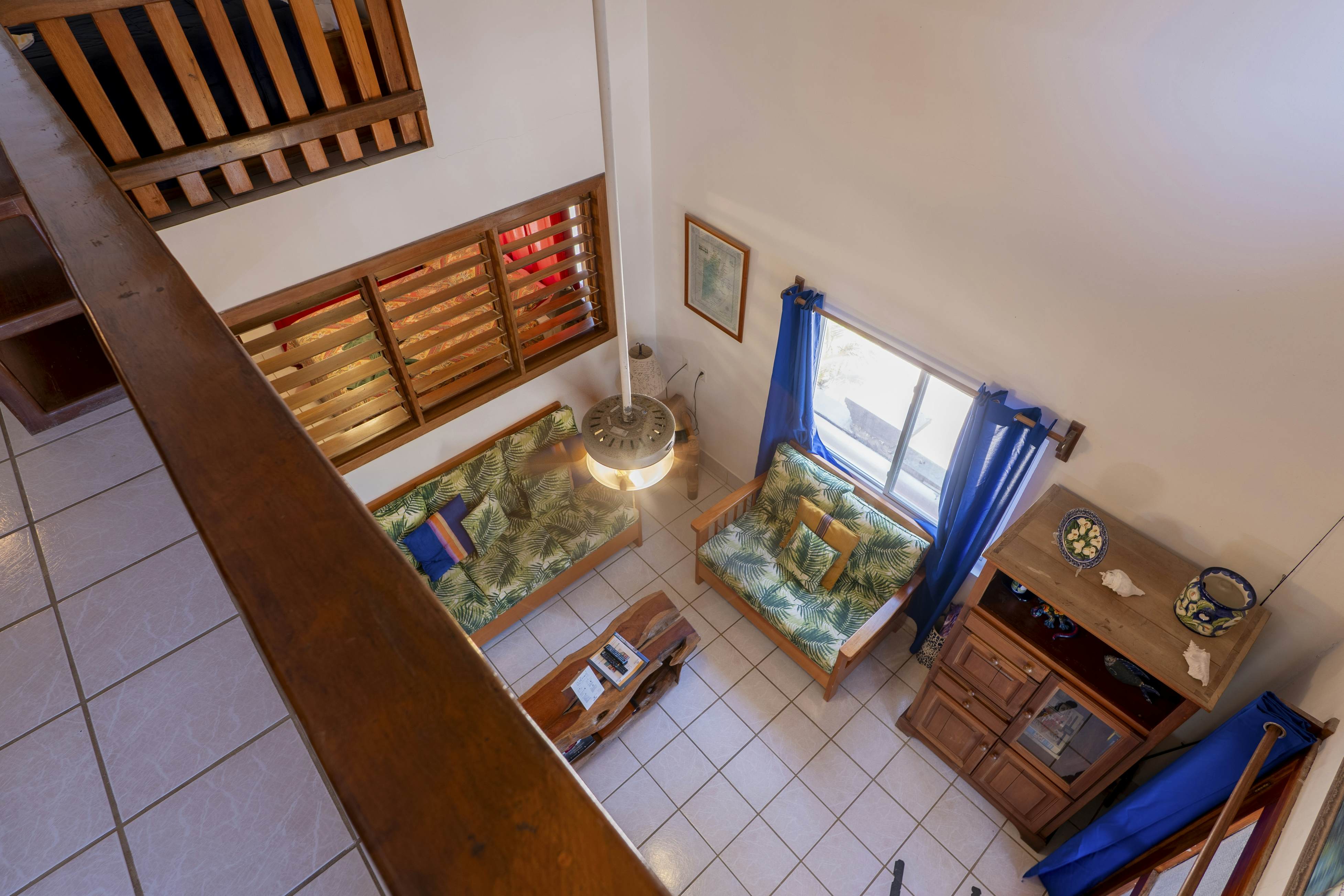 Cacao #18 at Caribe Island  -Gold Standard Certified