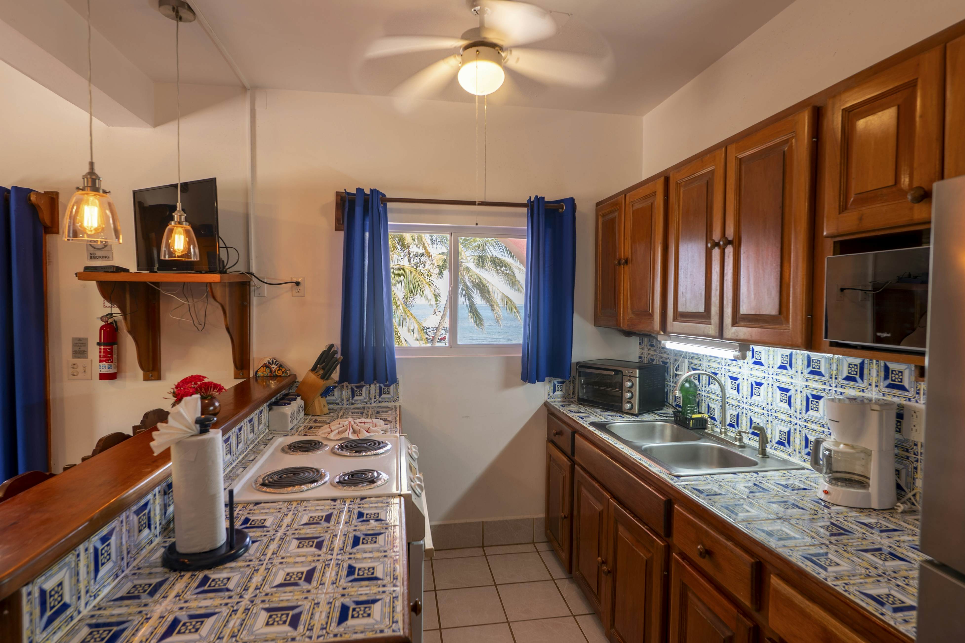 Cacao #18 at Caribe Island  -Gold Standard Certified