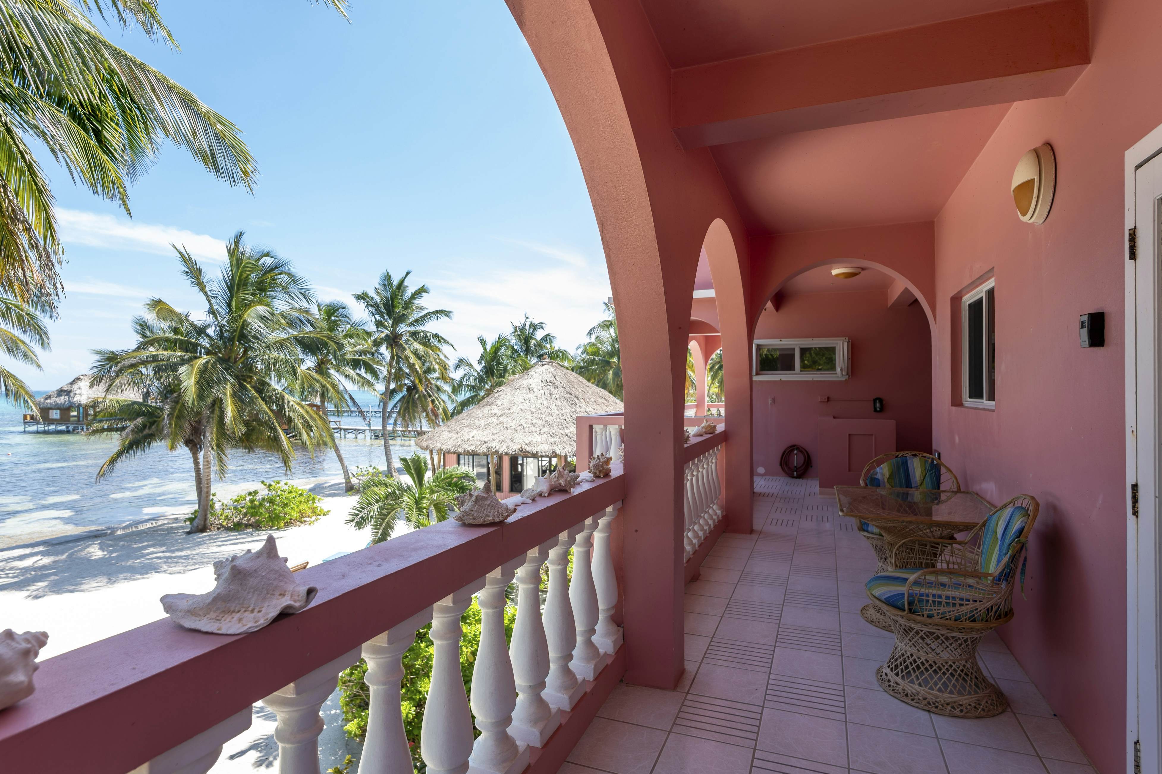 Cacao #18 at Caribe Island  -Gold Standard Certified