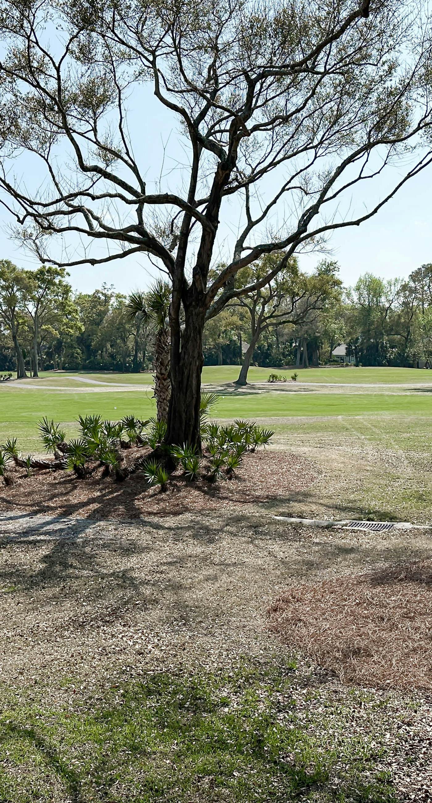 Turnberry Village 237