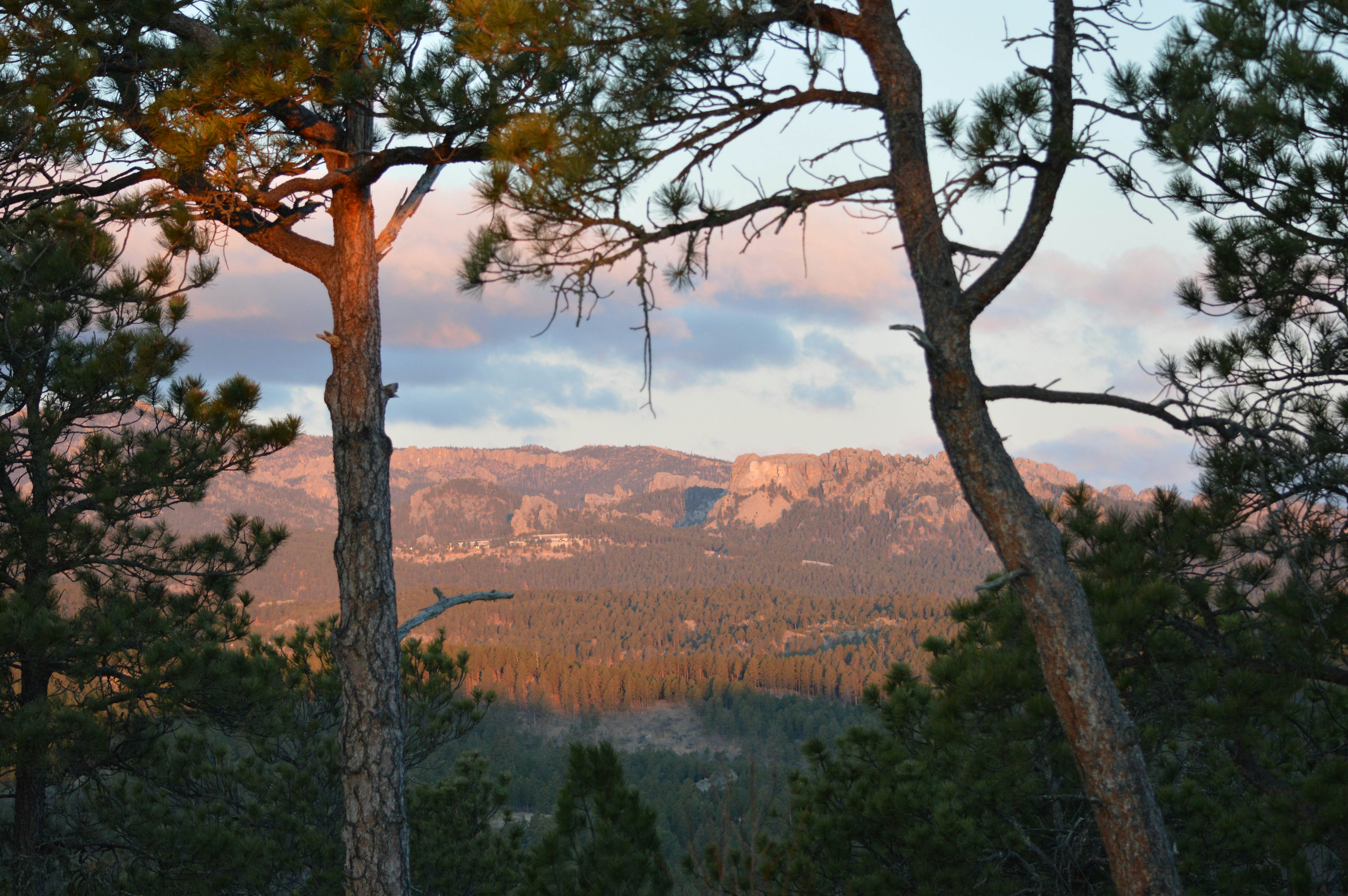 Black Hills Mountain Lodge