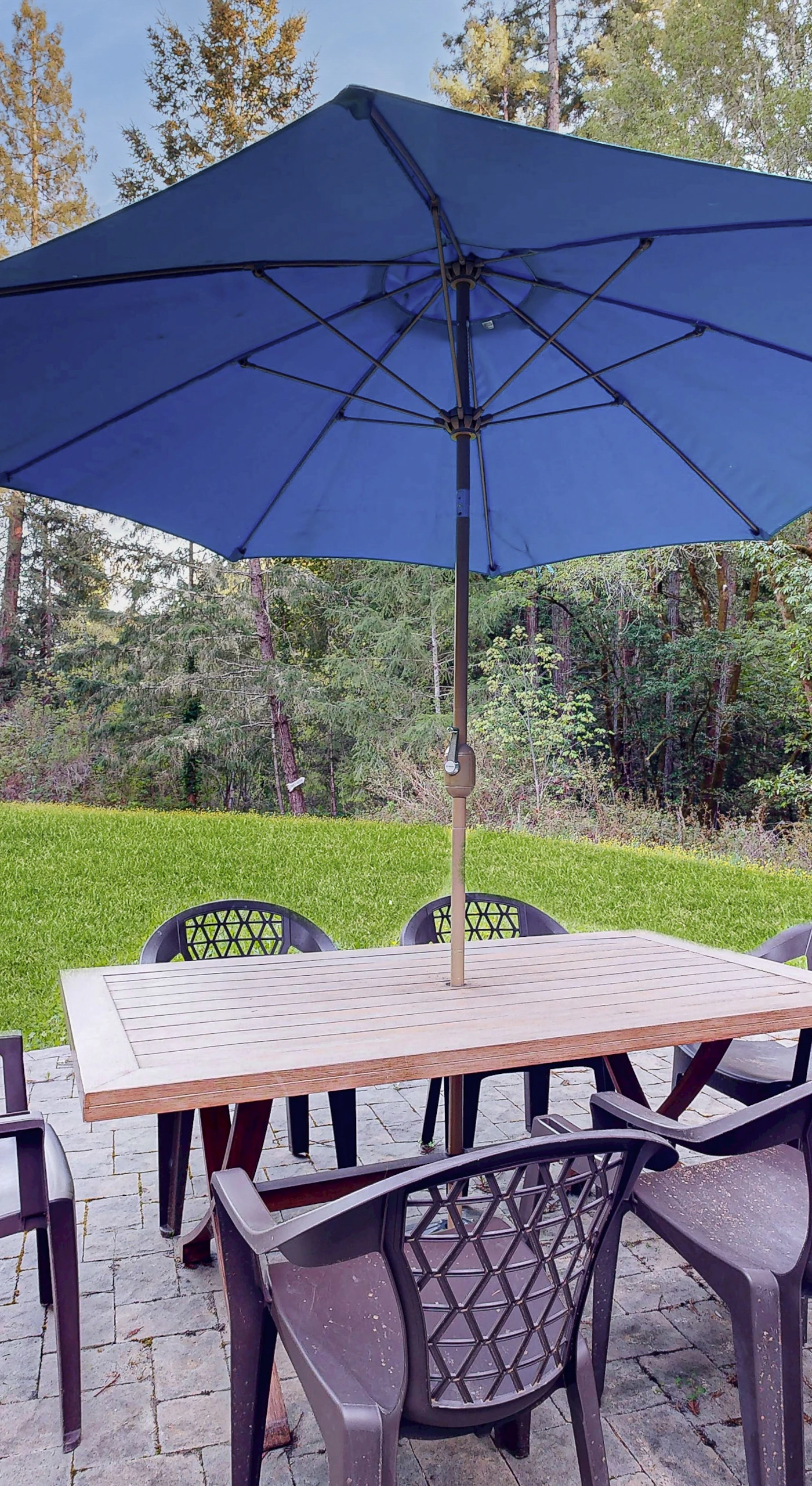 Savor your morning coffee or an evening glass of wine at the outdoor dining table, surrounded by lush Sebastopol greenery.
