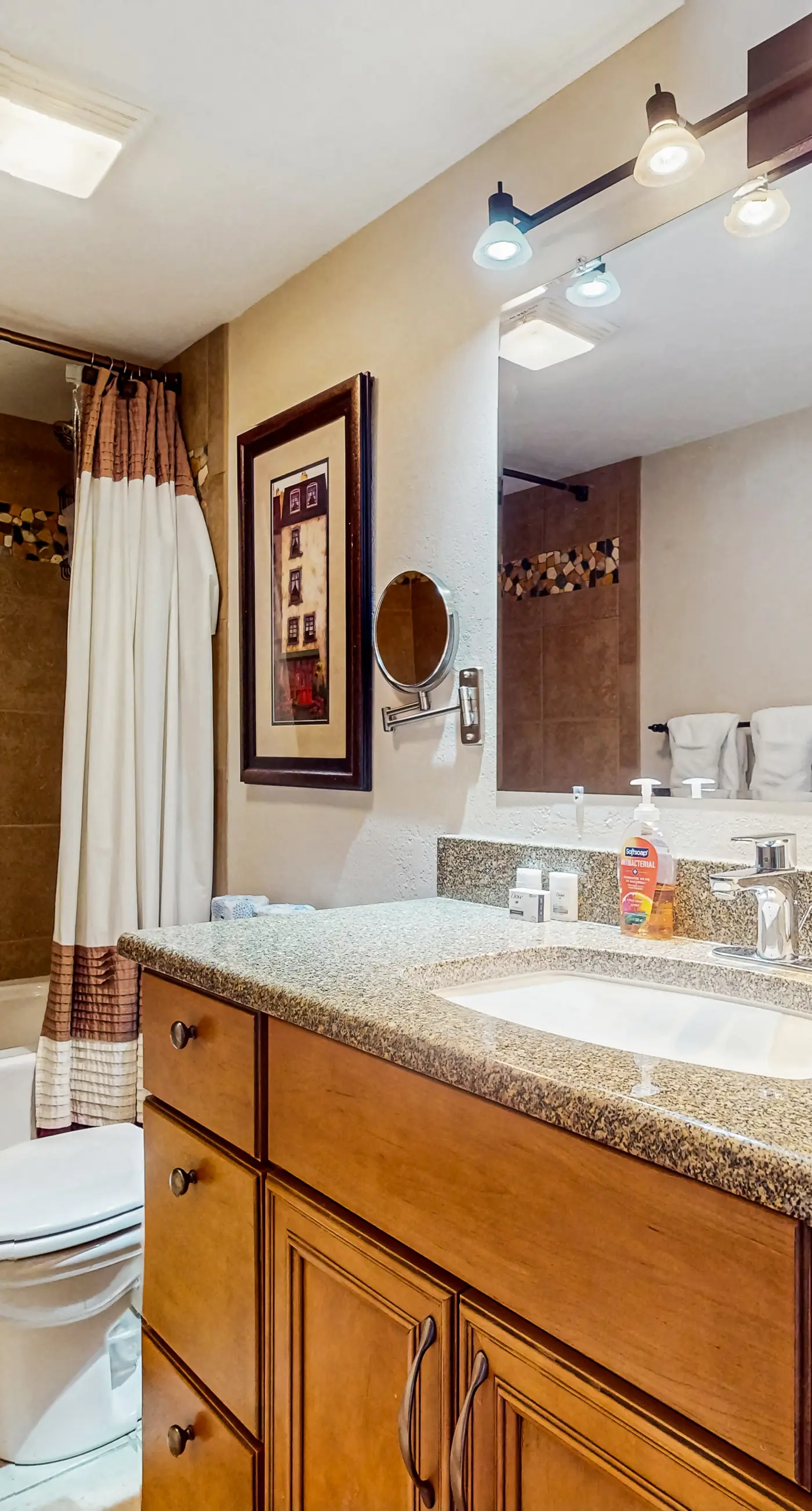 Mountain Dreams Condo