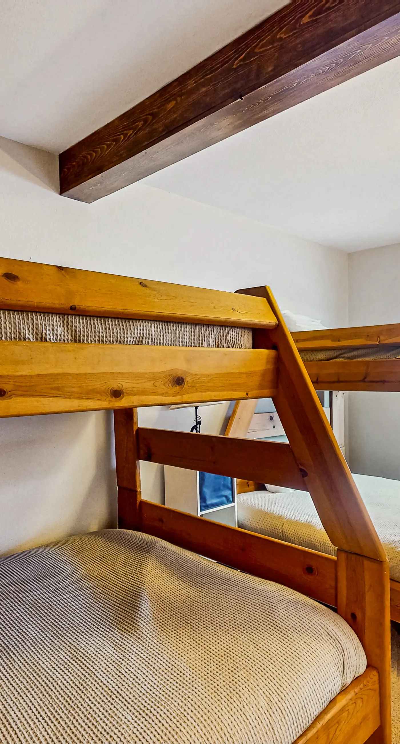 Mountain Dreams Condo