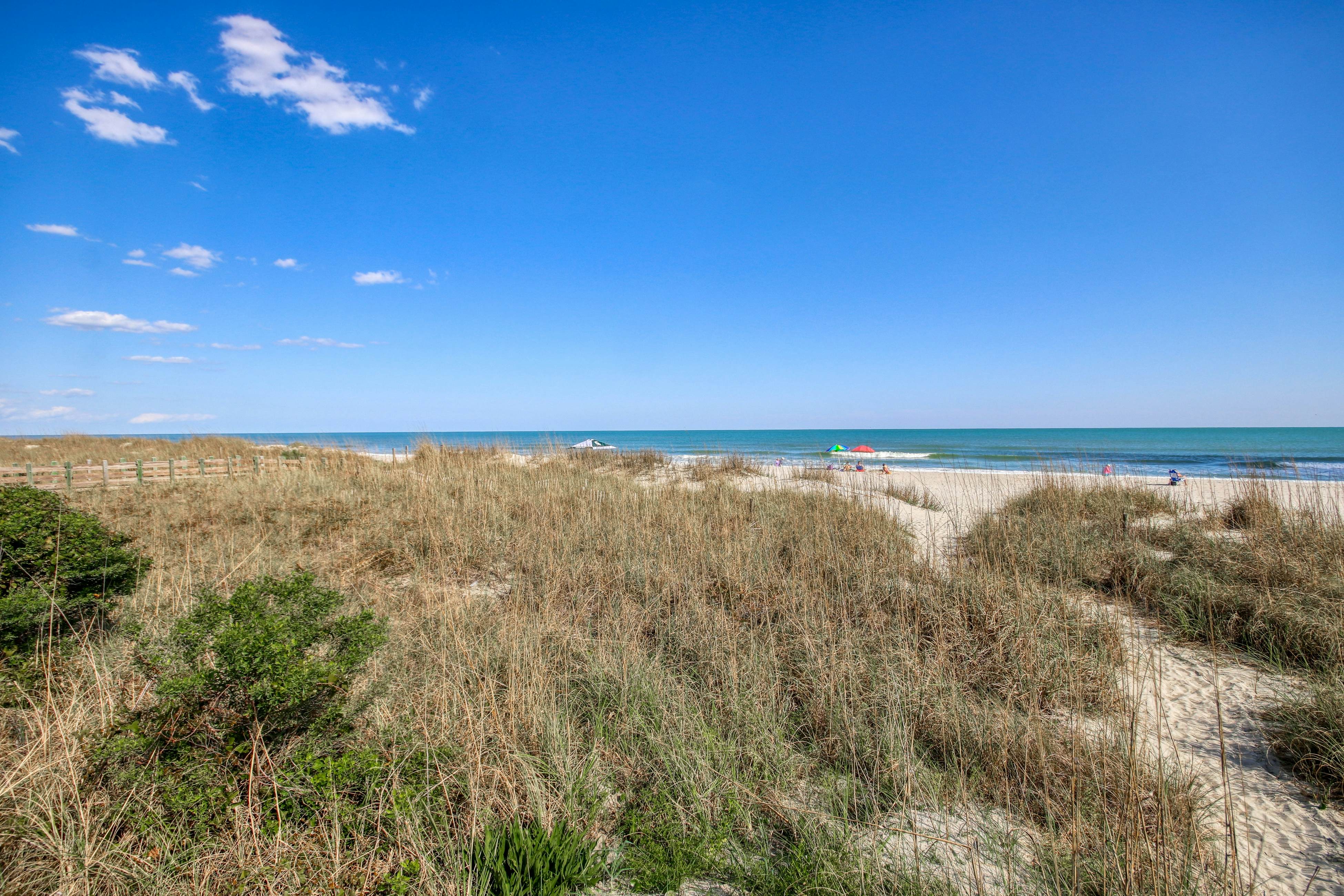 Windy Hill Dunes 204