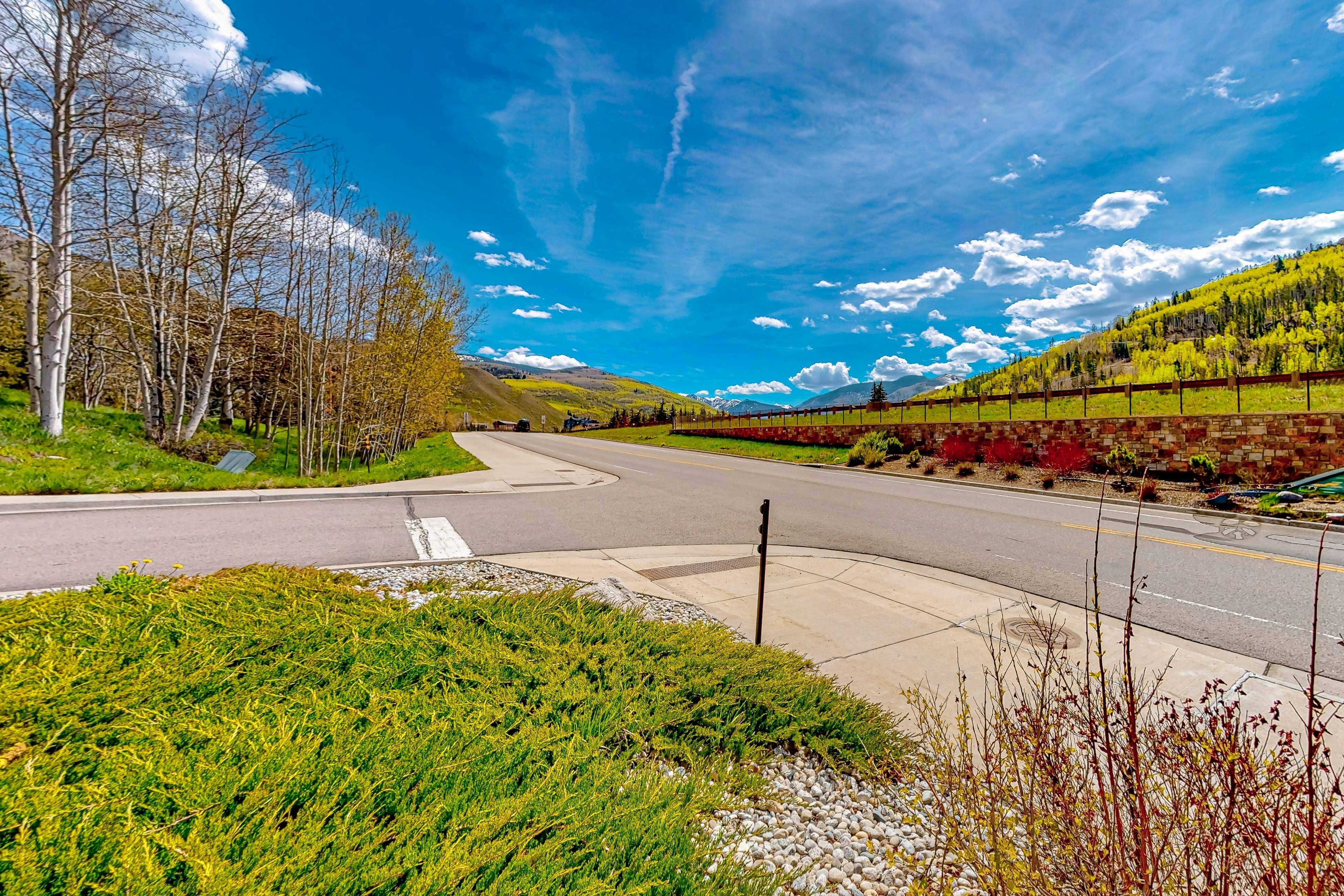 Simba Run, Unit 1510