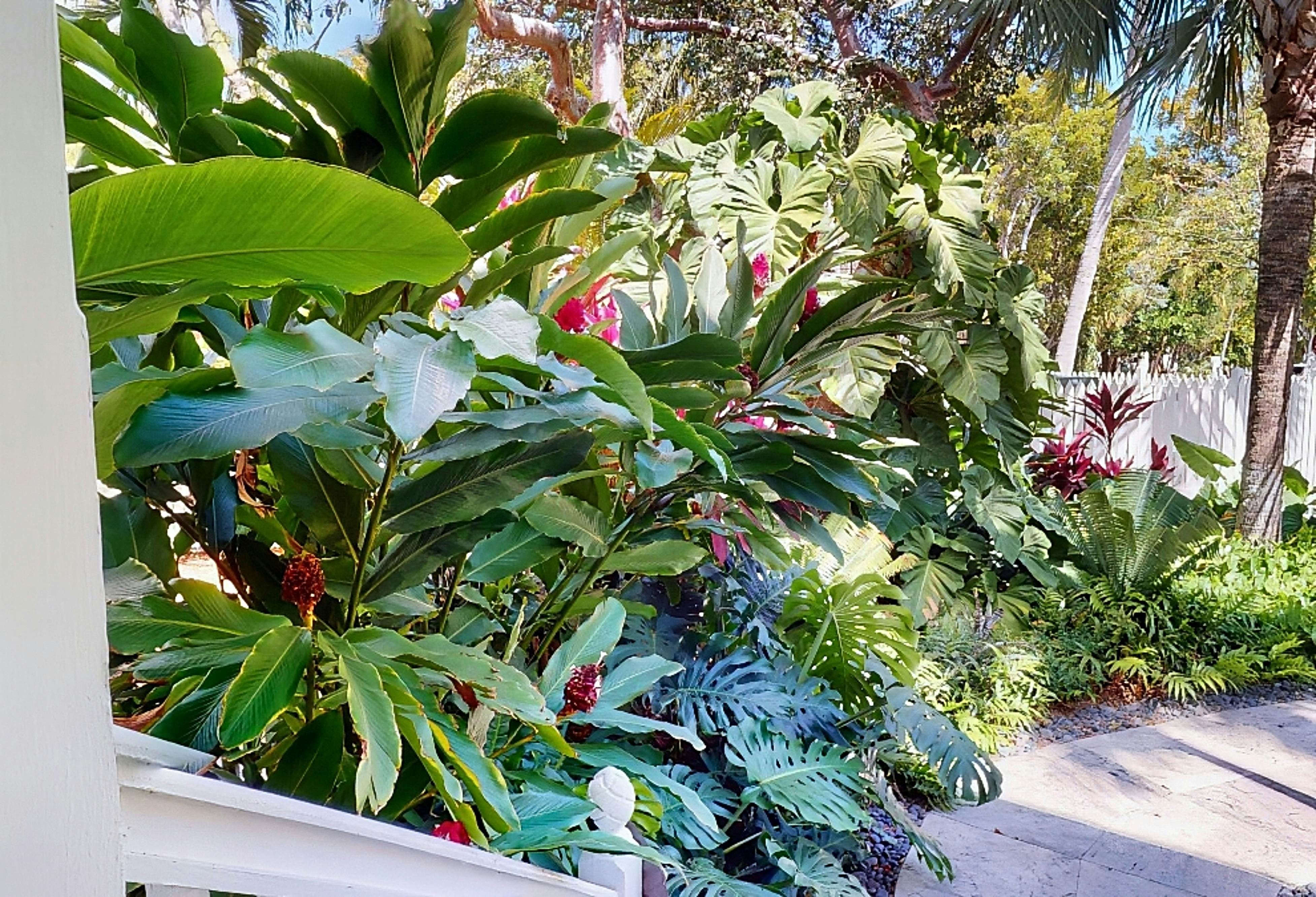 The Tipsy Mermaid at Key West Golf Club