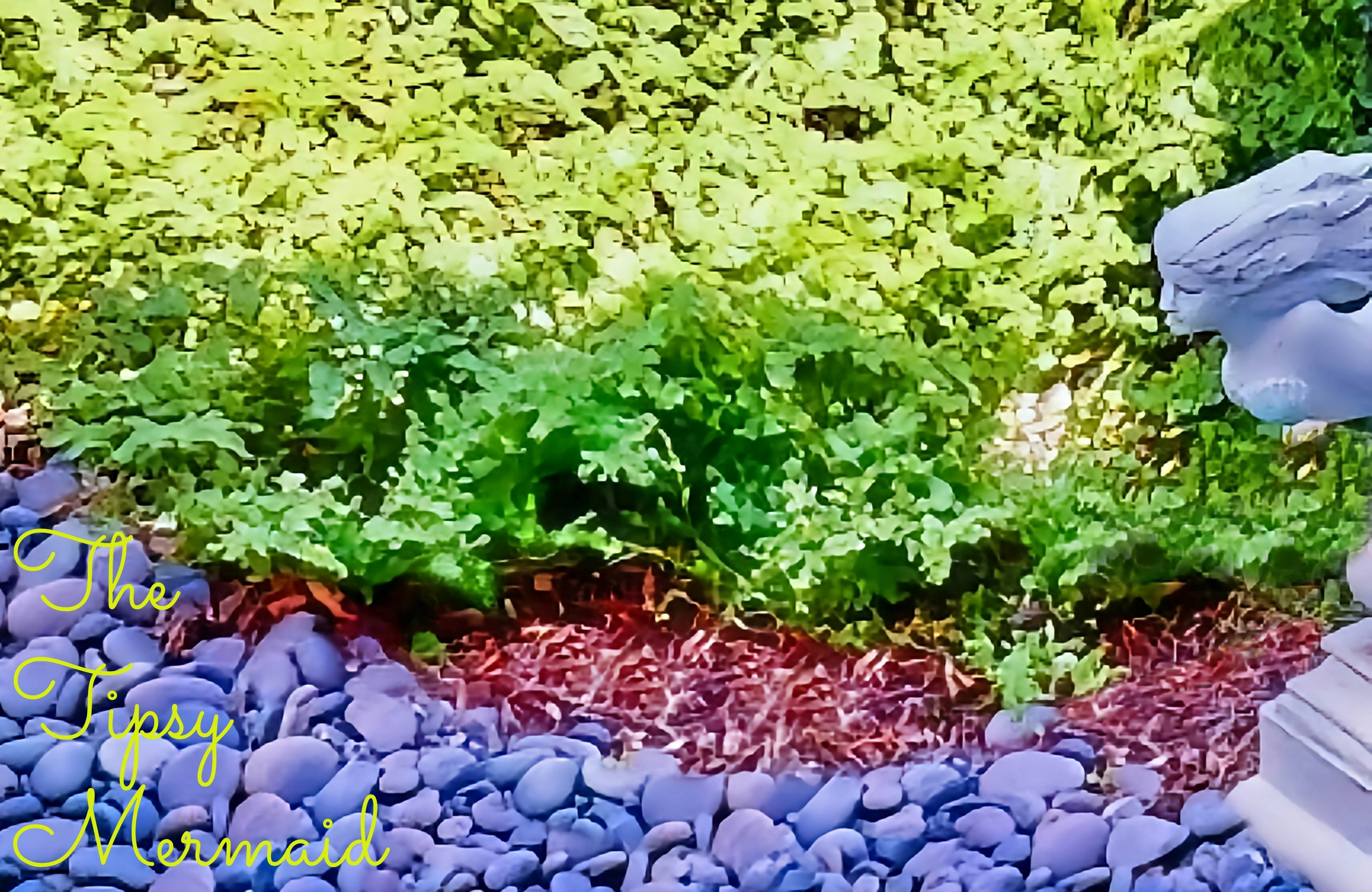 The Tipsy Mermaid at Key West Golf Club