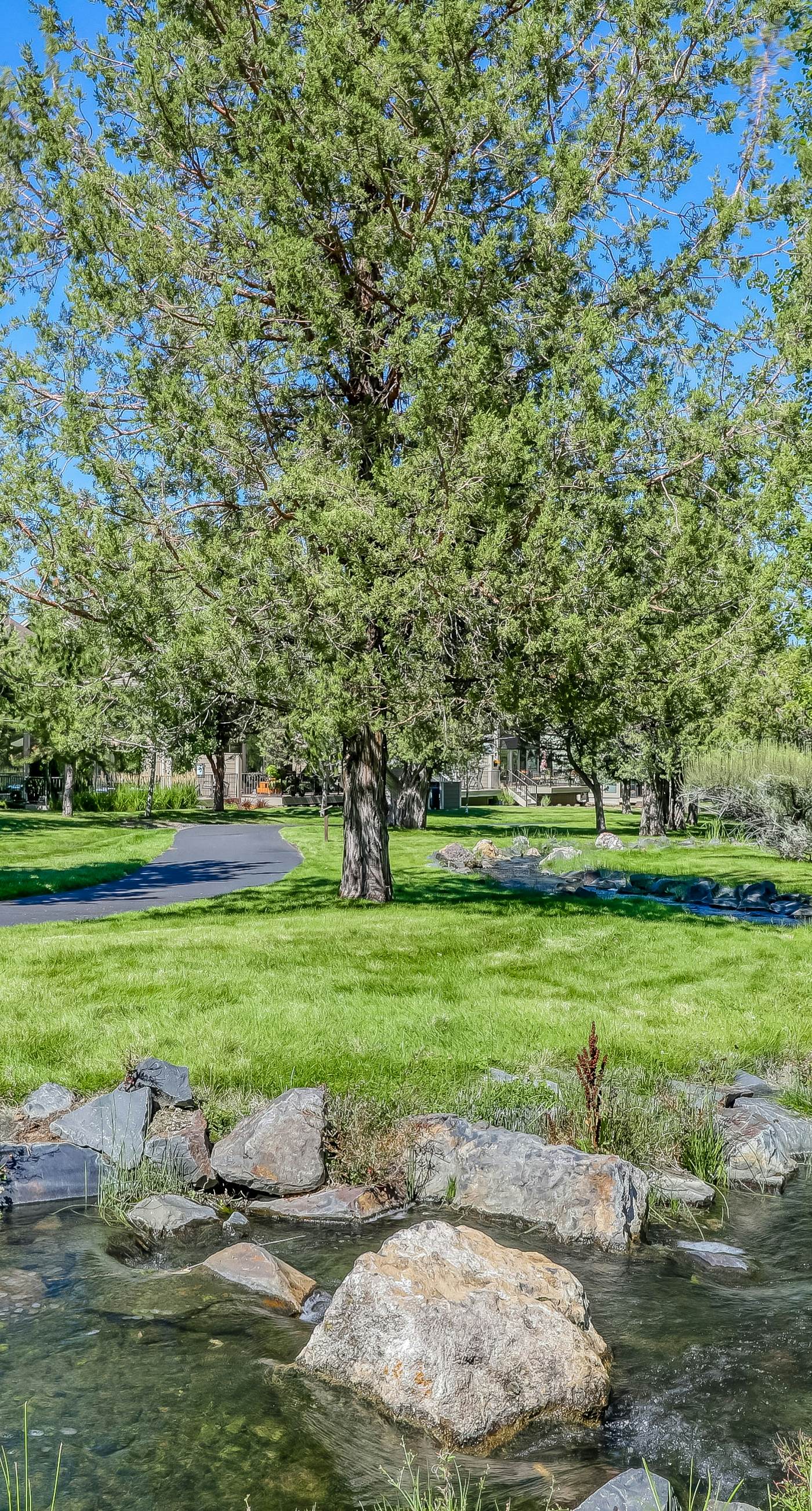 Whispering Pines Haven