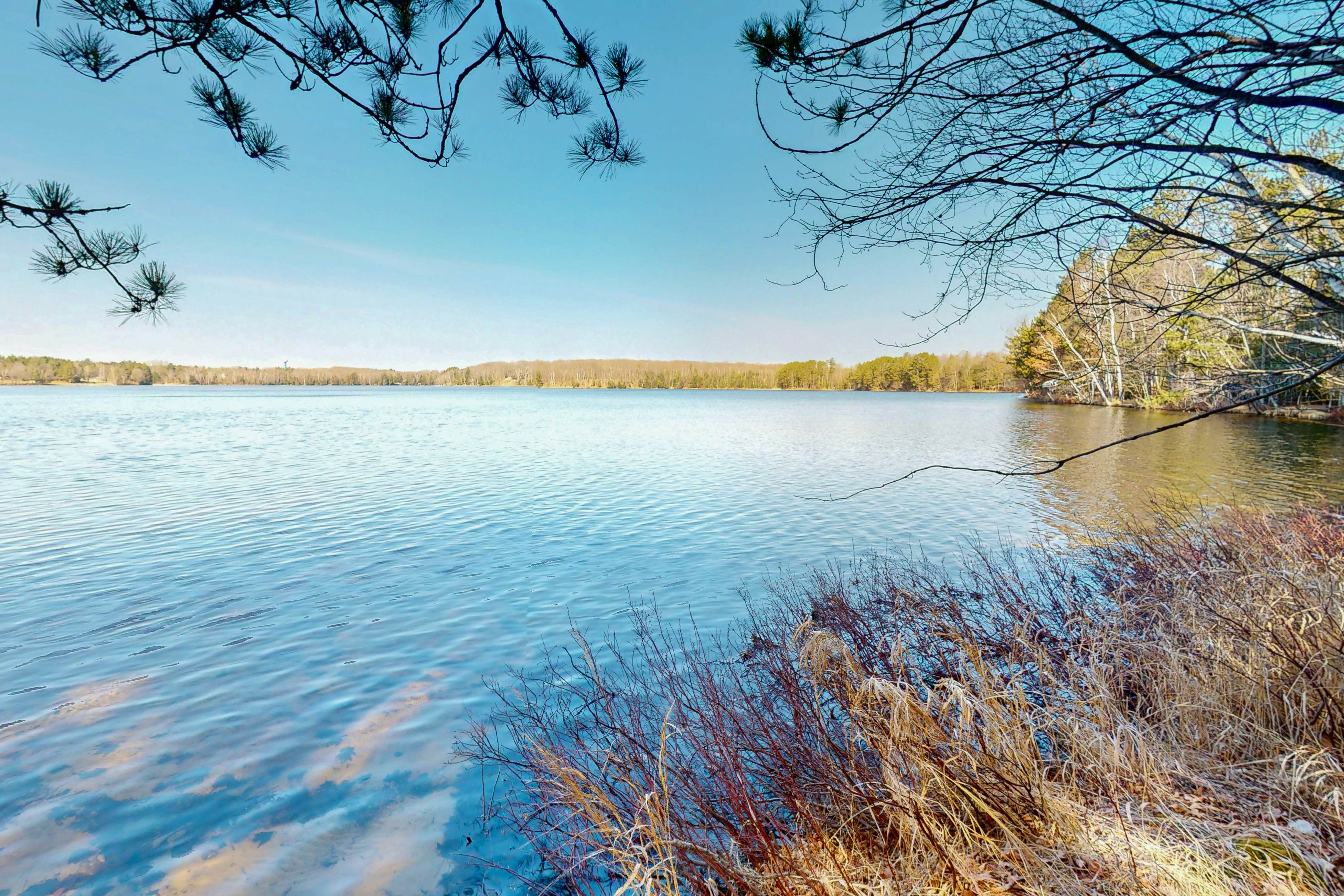 Swaying Pines Estate 