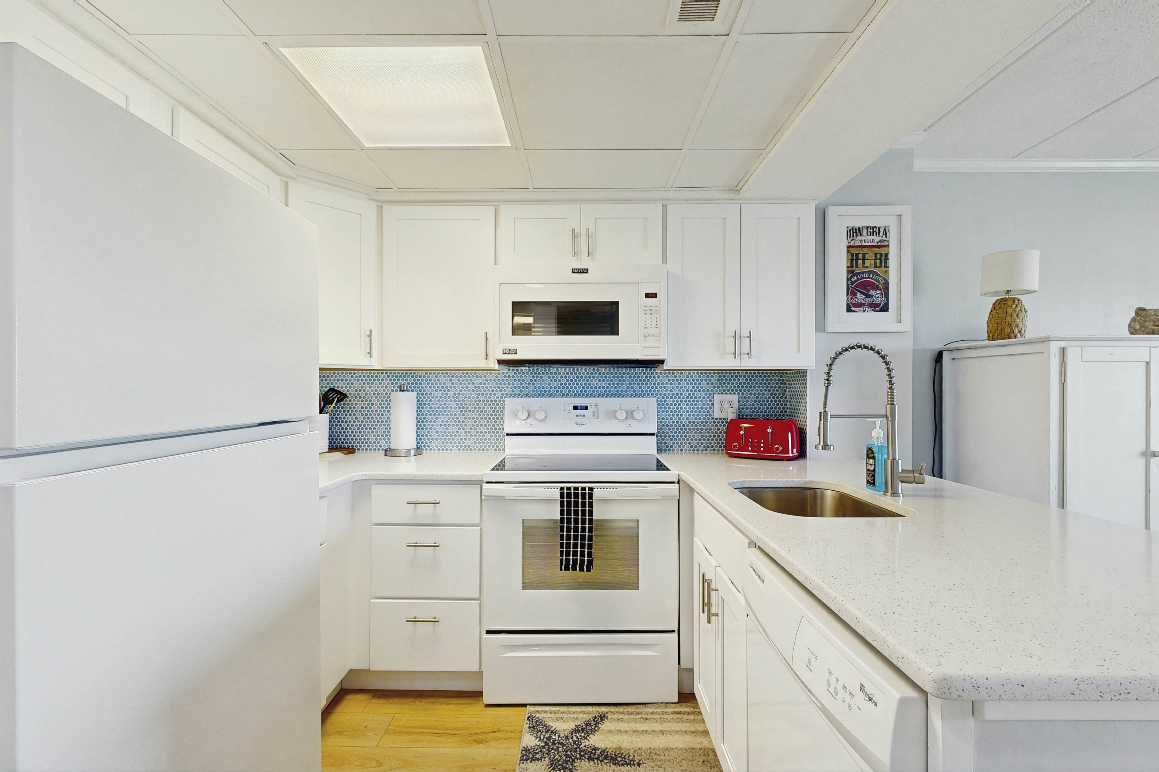 Shell Yeah - Le Lisa 405