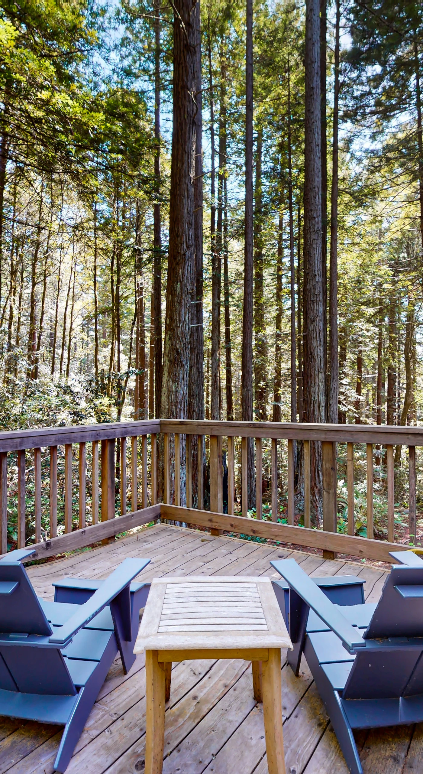 Step onto the deck for your morning coffee, surrounded by the whisper of trees and the peace of nature—your perfect retreat awaits.