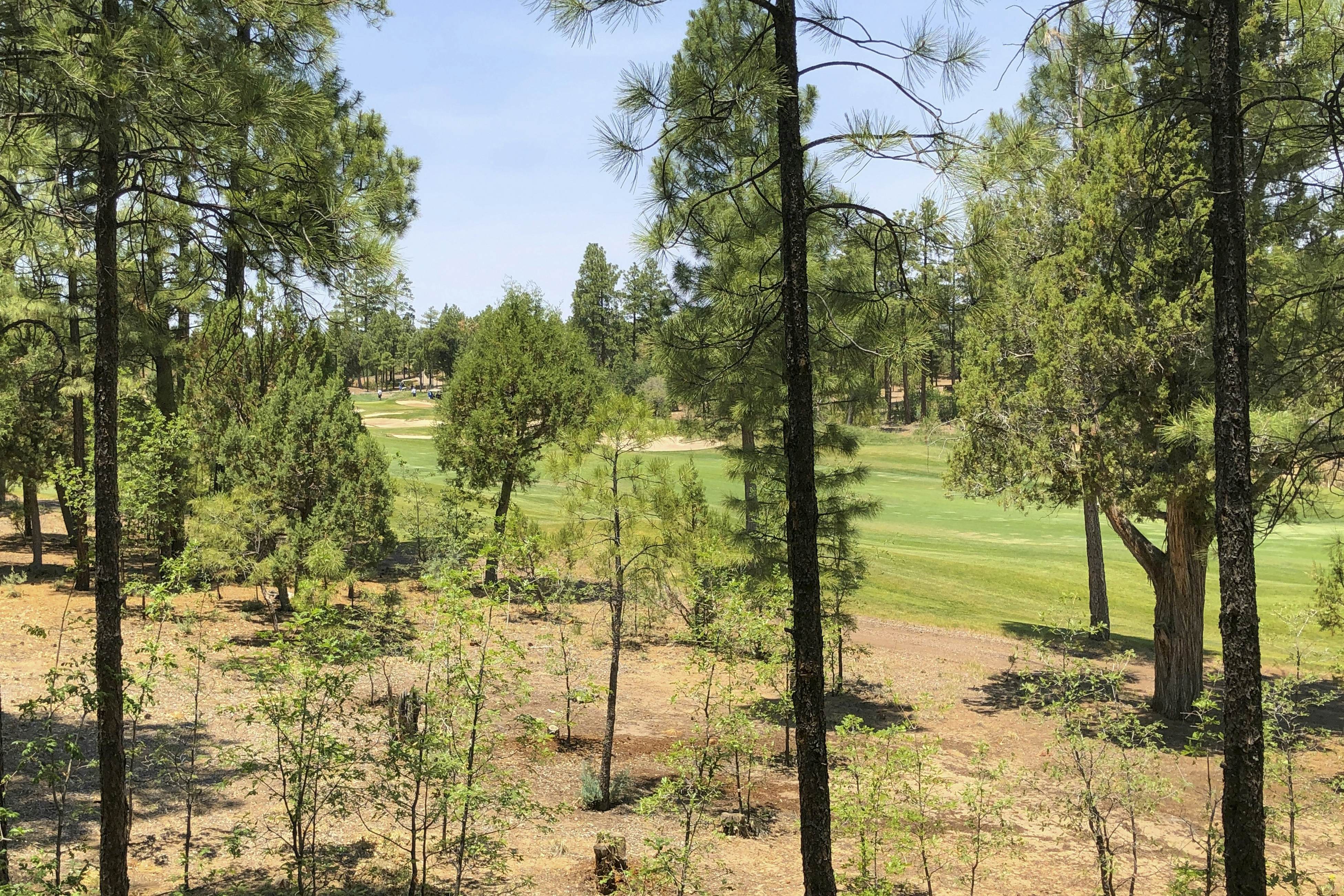 Tranquil Torreon Pines and Fairway Hideaway