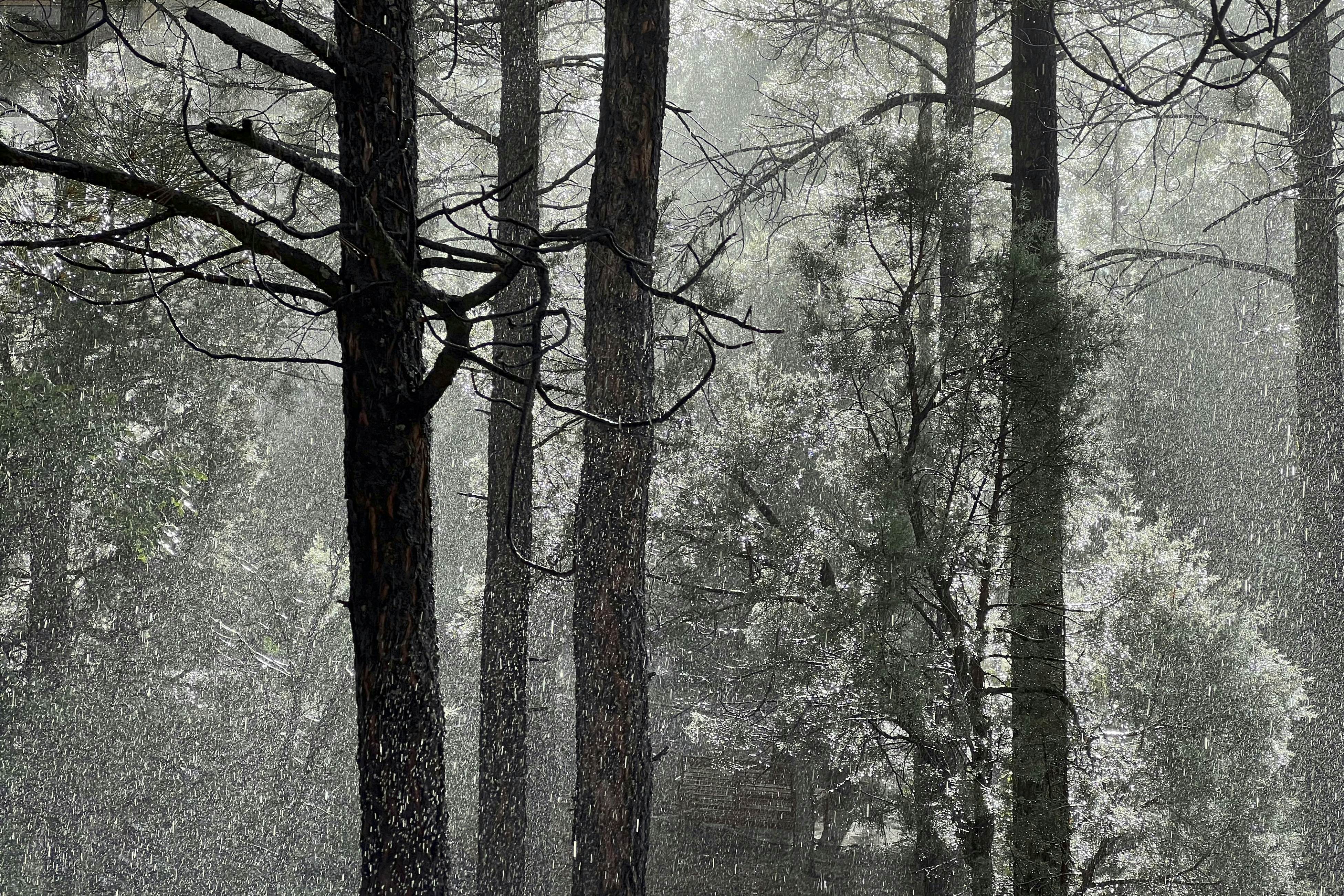 Tranquil Torreon Pines and Fairway Hideaway