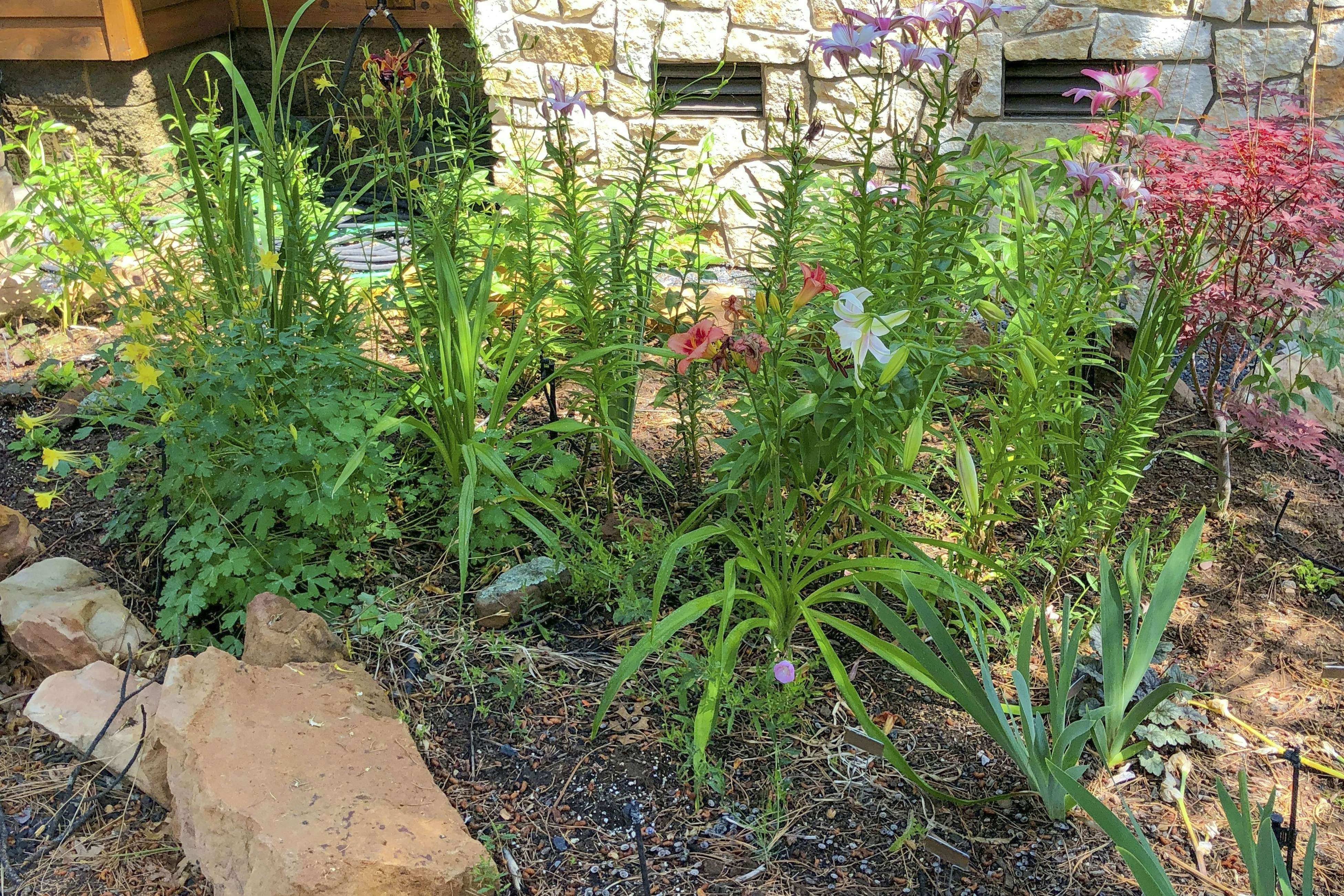 Tranquil Torreon Pines and Fairway Hideaway