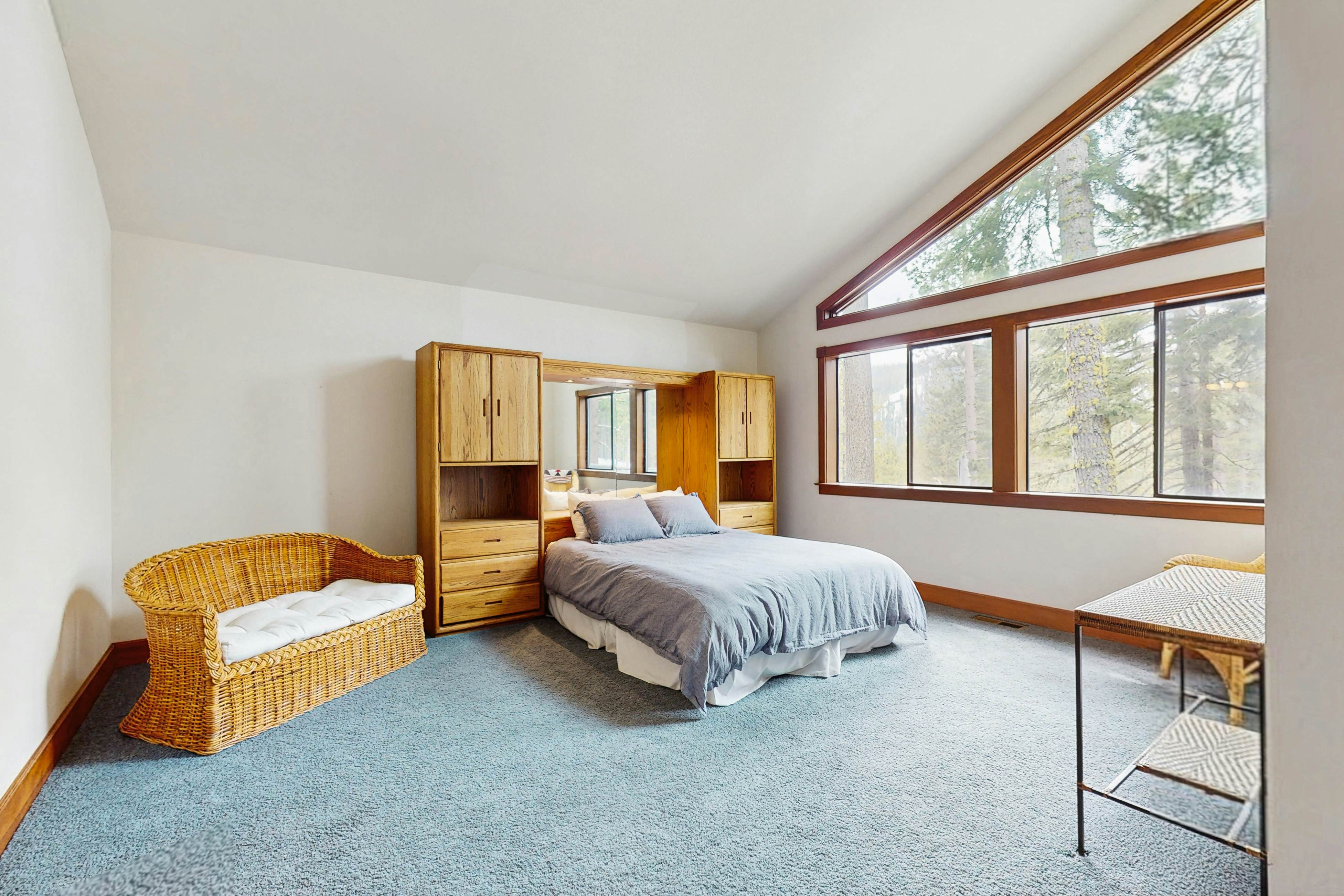 Peace and Pines at Upper Ward Creek