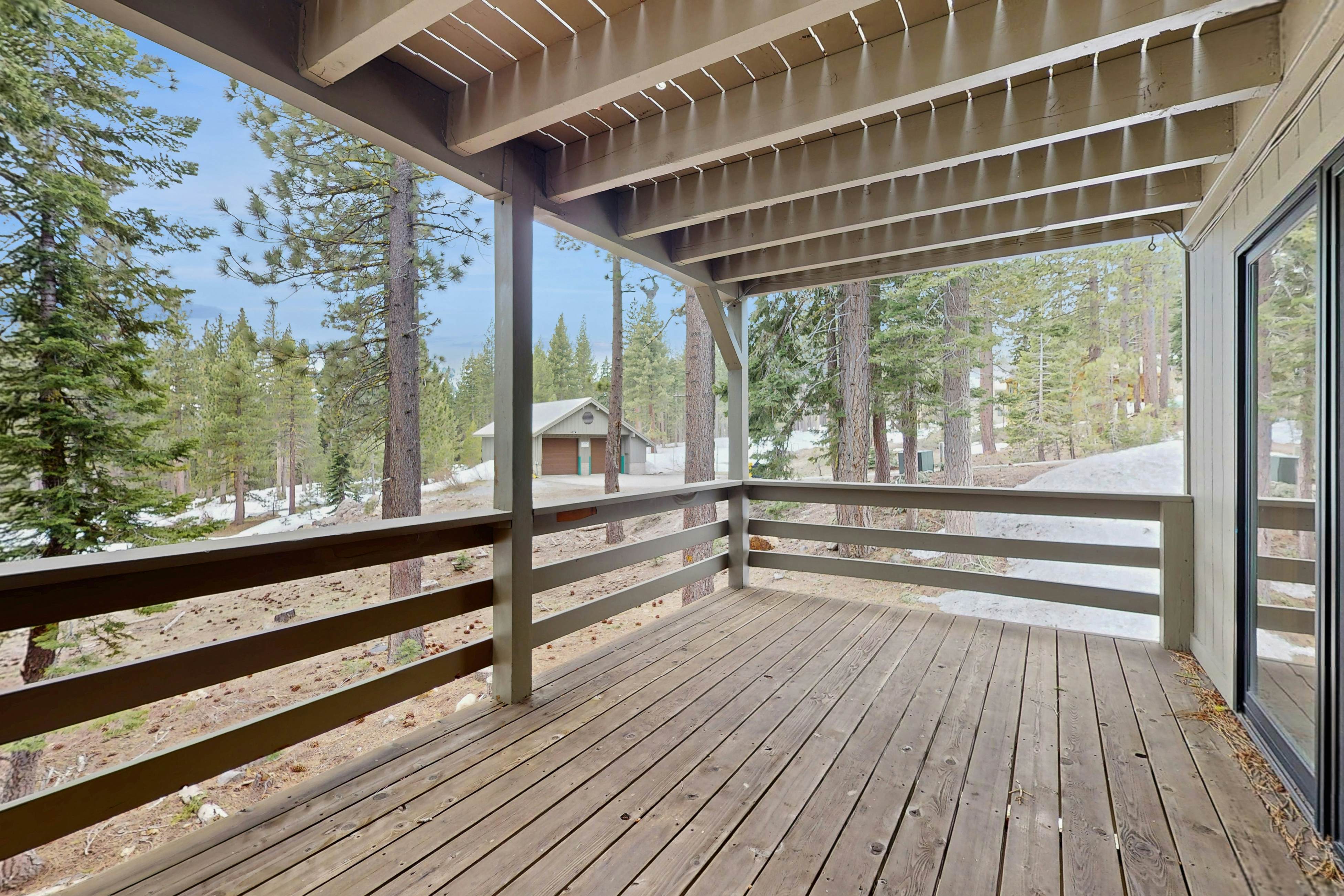 Peace and Pines at Upper Ward Creek