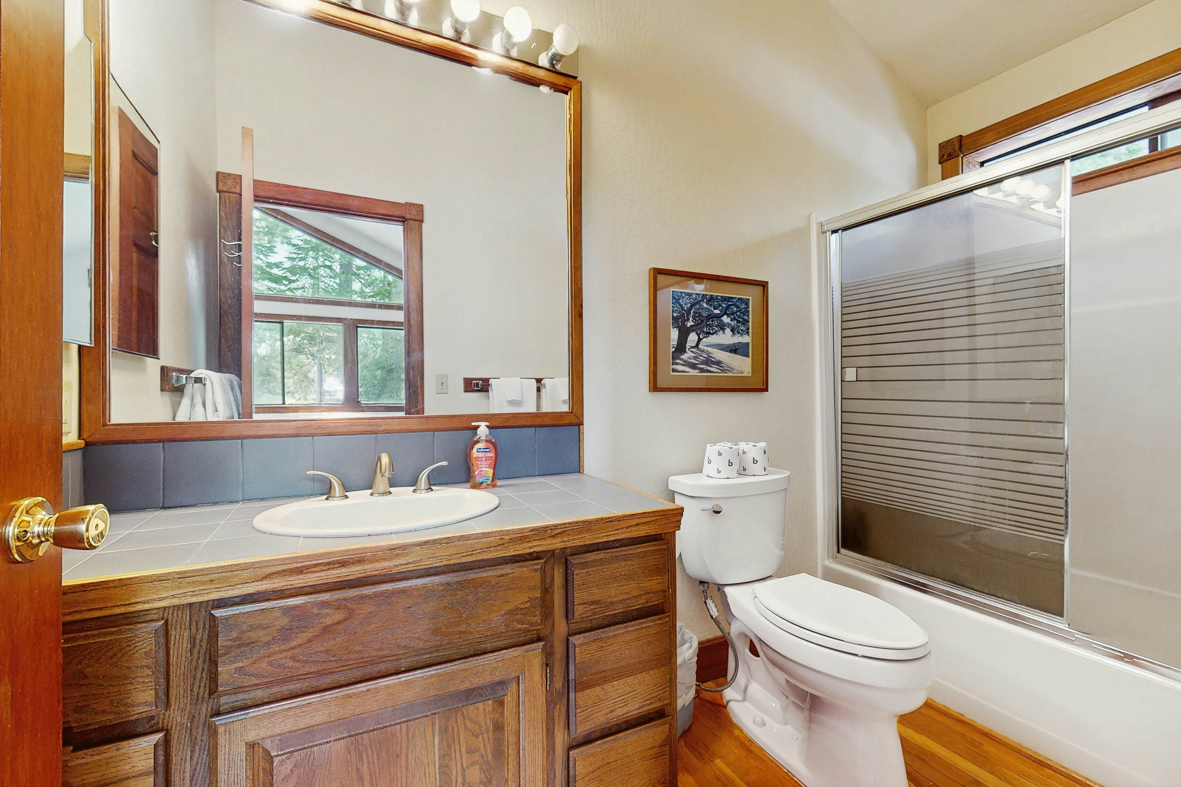 Peace and Pines at Upper Ward Creek