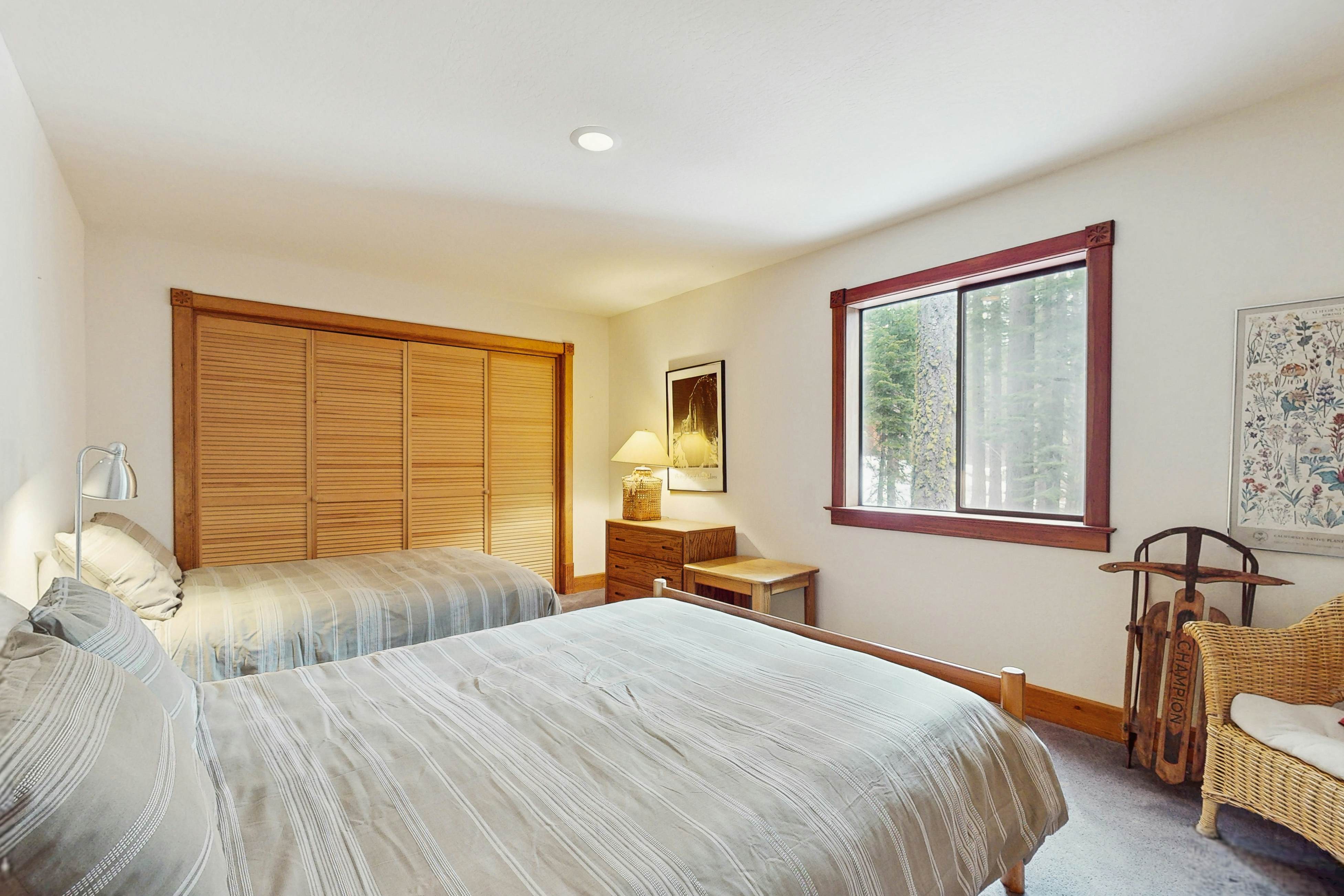 Peace and Pines at Upper Ward Creek