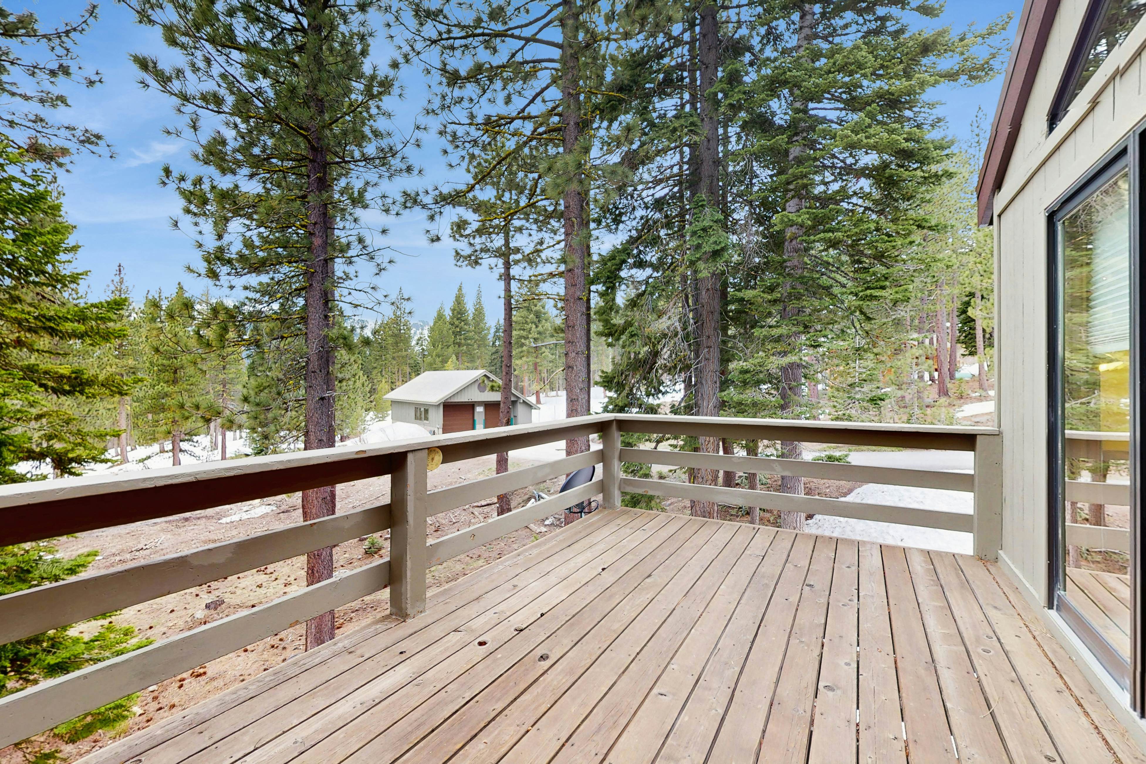 Peace and Pines at Upper Ward Creek