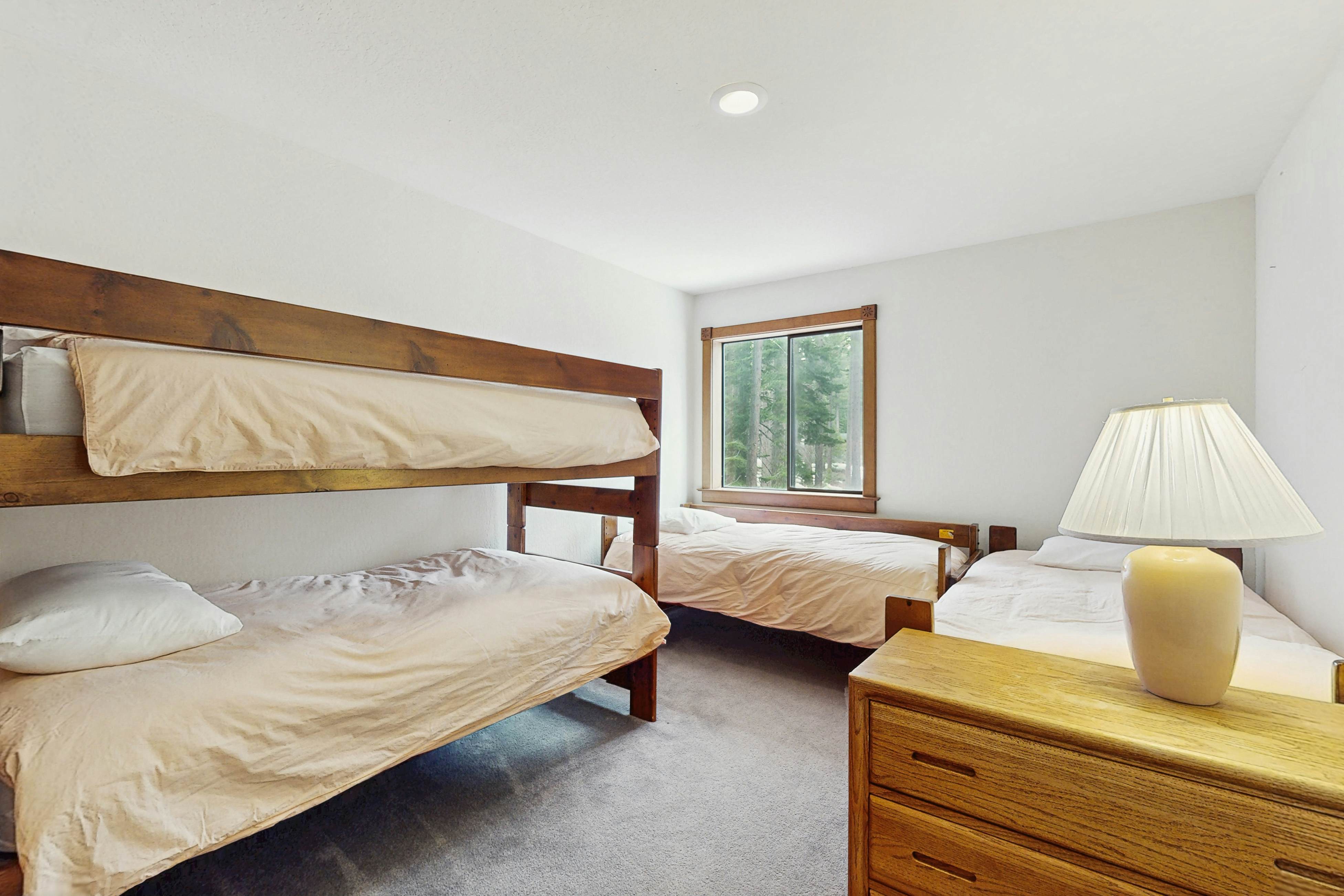 Peace and Pines at Upper Ward Creek