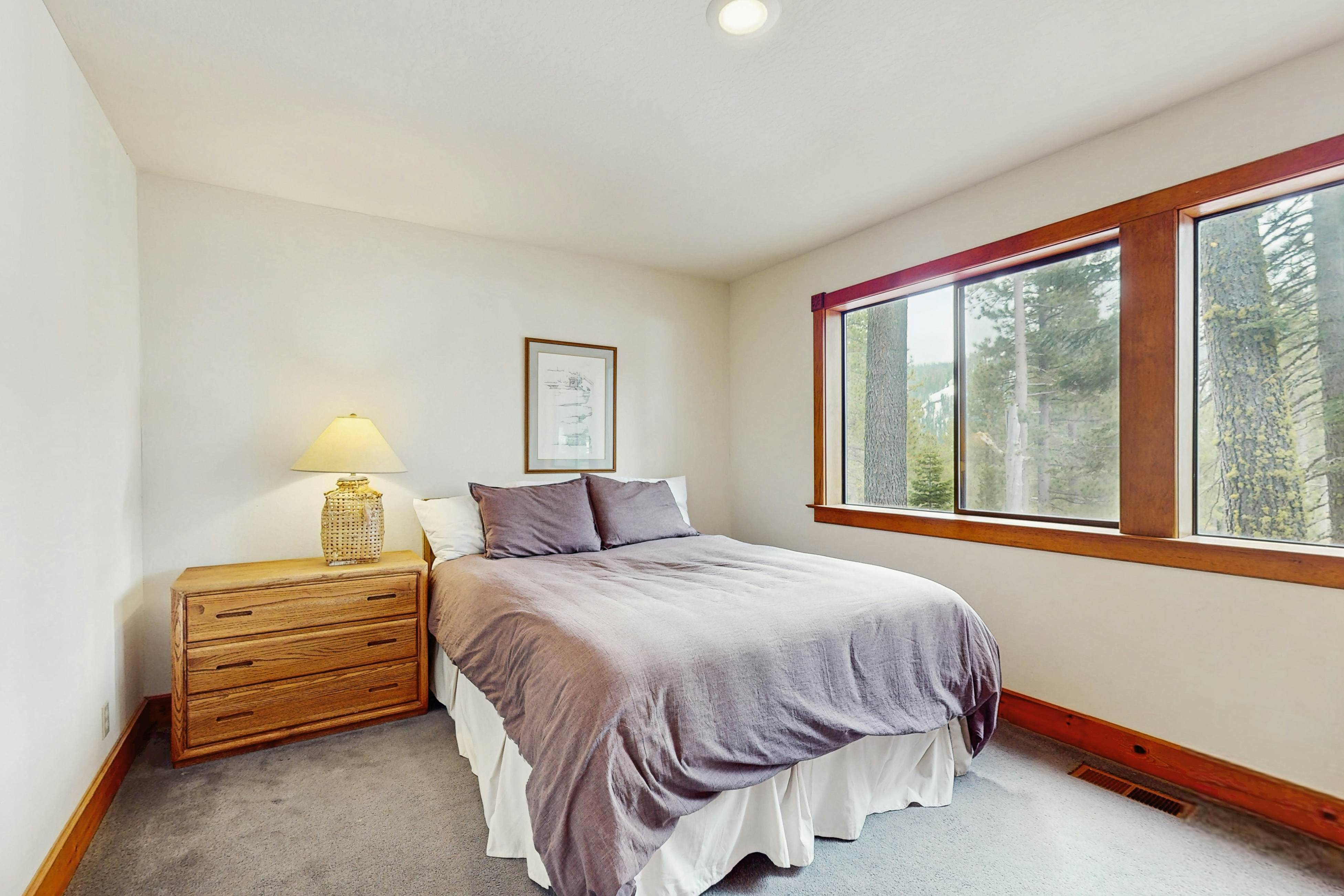 Peace and Pines at Upper Ward Creek