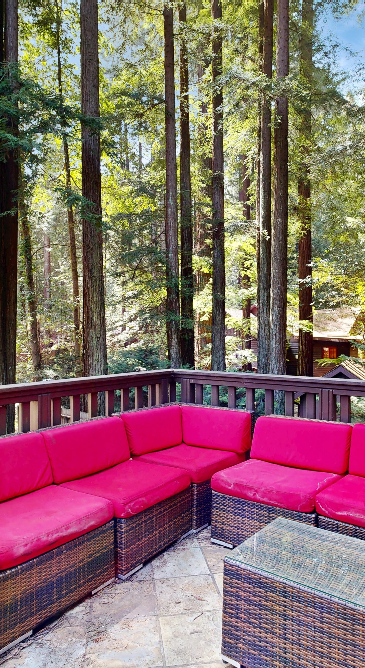 Lounge on your vibrant outdoor sectional as sunlight filters through ancient redwoods — mornings here feel like your own private forest sanctuary near the Russian River.