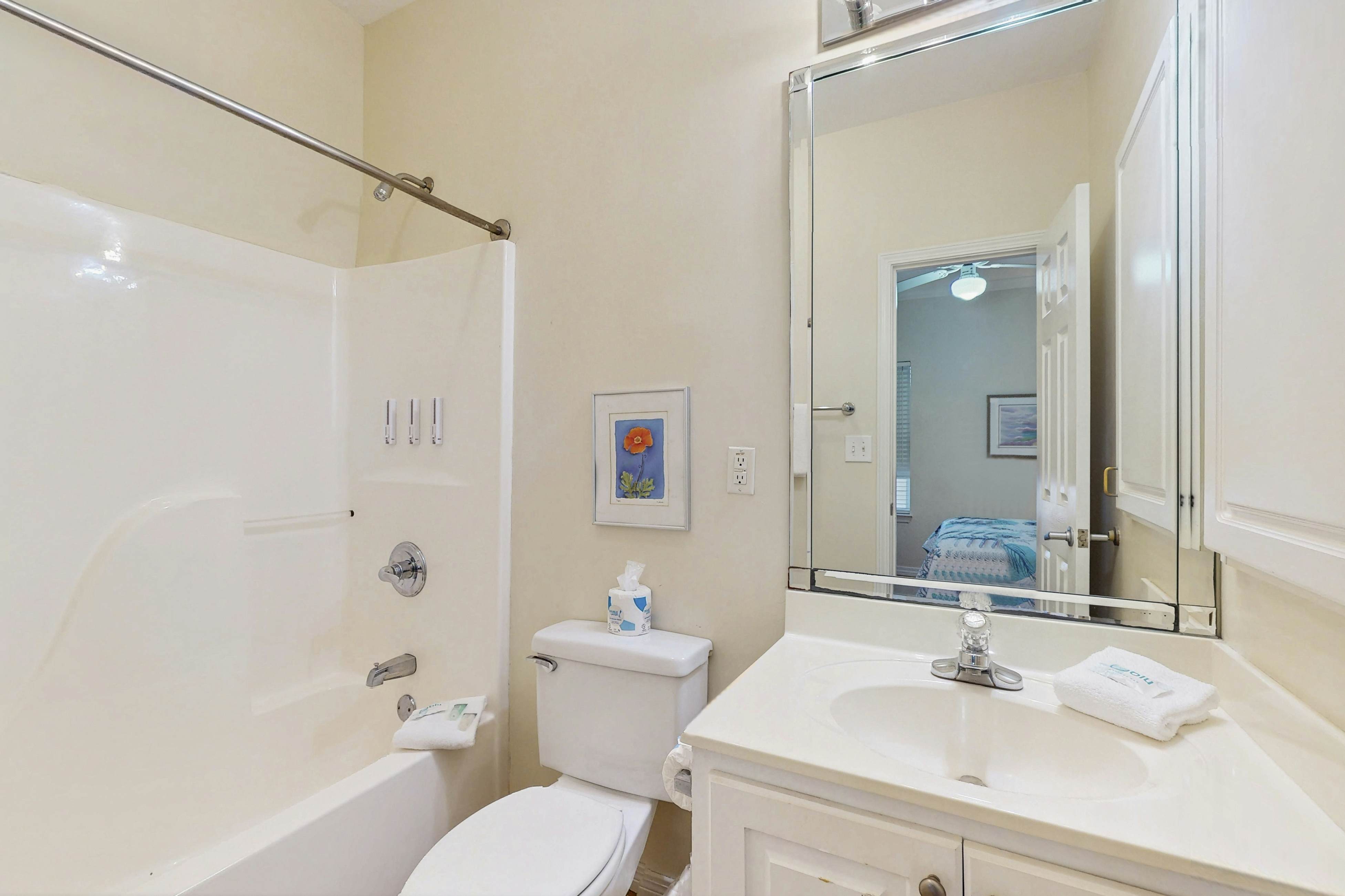 The Baby Pelican - DIBC 109