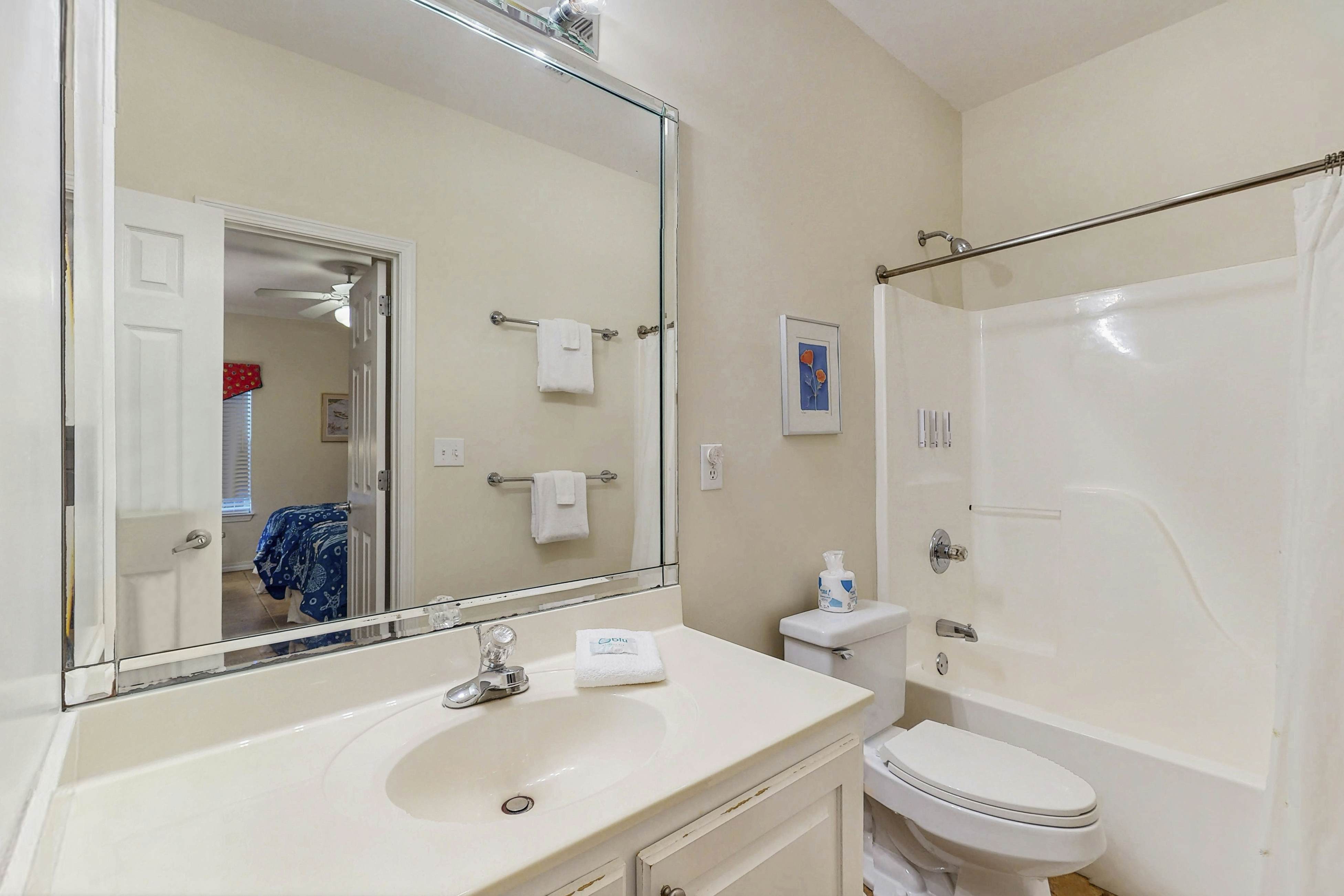 The Baby Pelican - DIBC 109