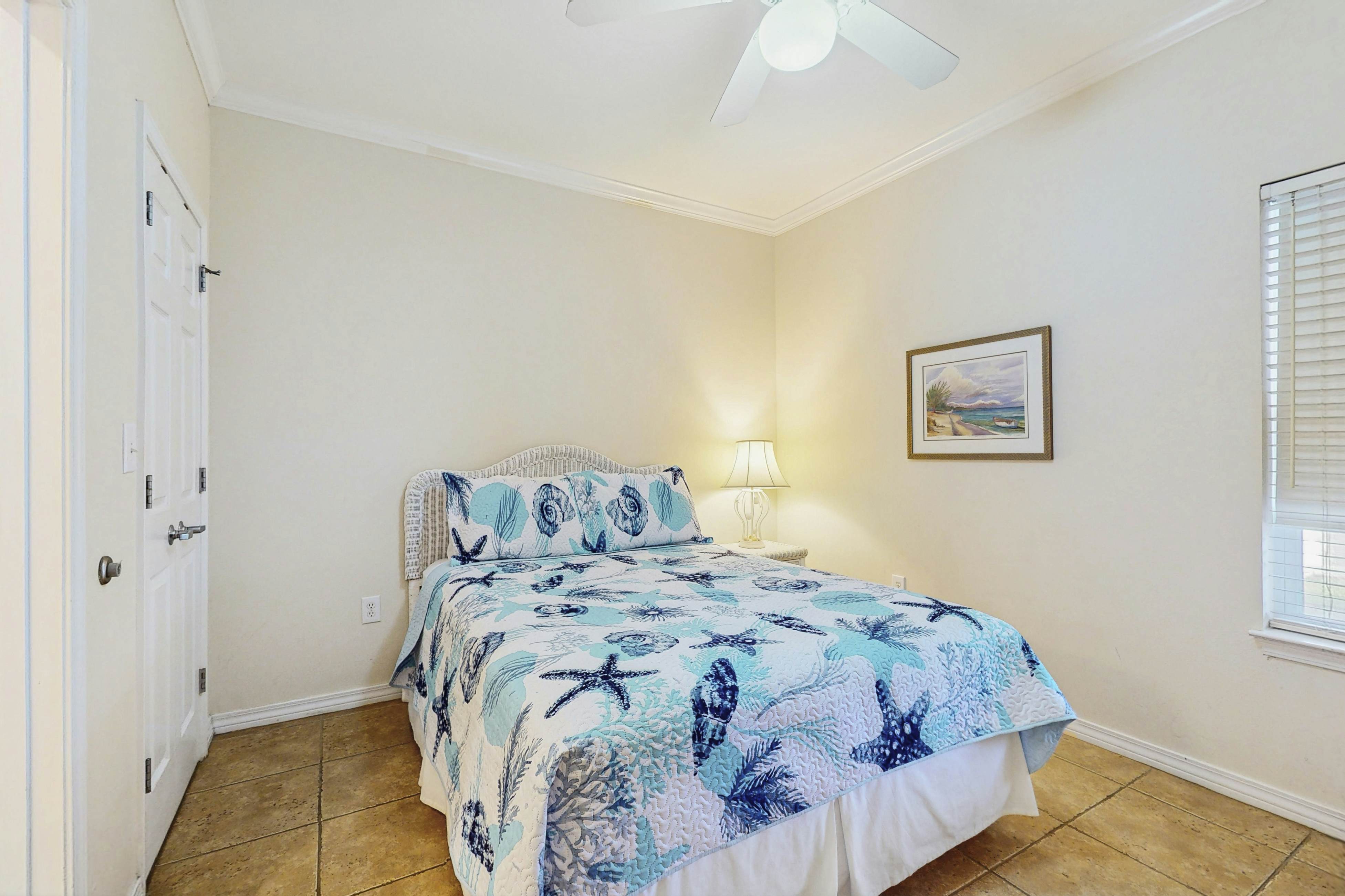 The Baby Pelican - DIBC 109