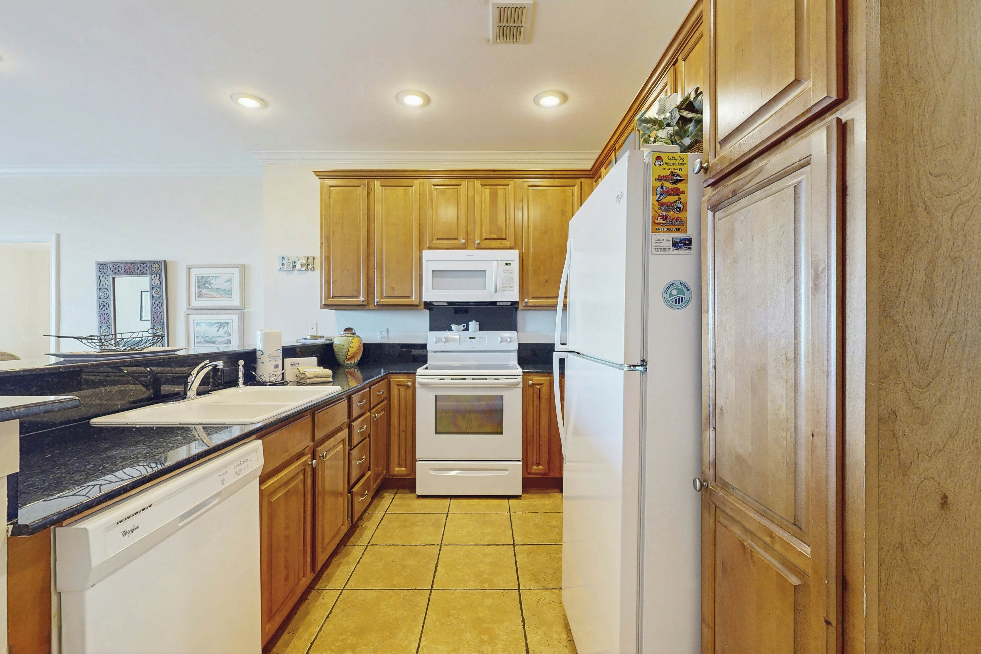 The Baby Pelican - DIBC 109