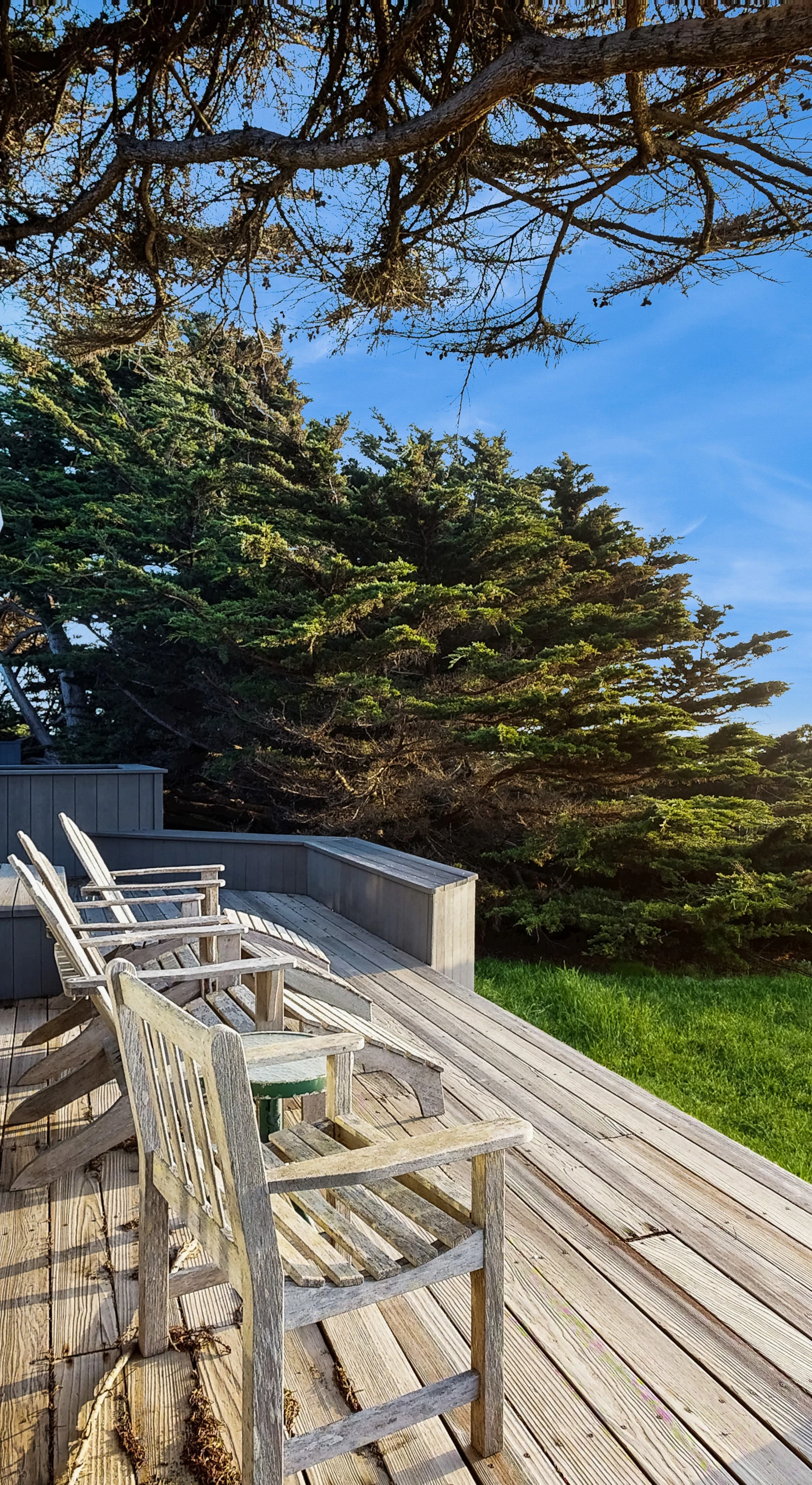 Step onto your spacious deck, a perfect spot for morning coffees or evening stargazing under the clear Sea Ranch sky.