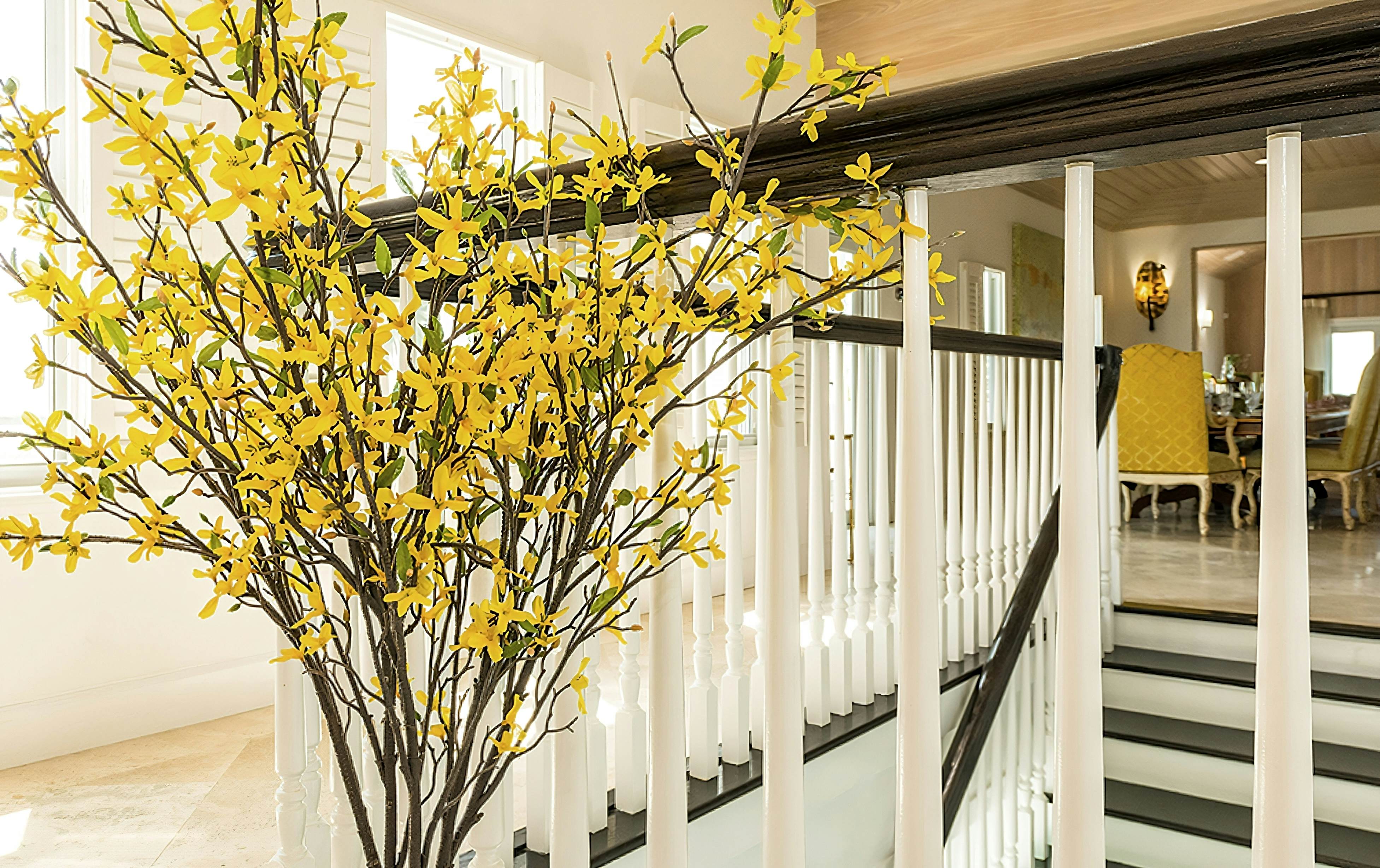 Luxury Villa of the Setting Sun -Near Key West Fl