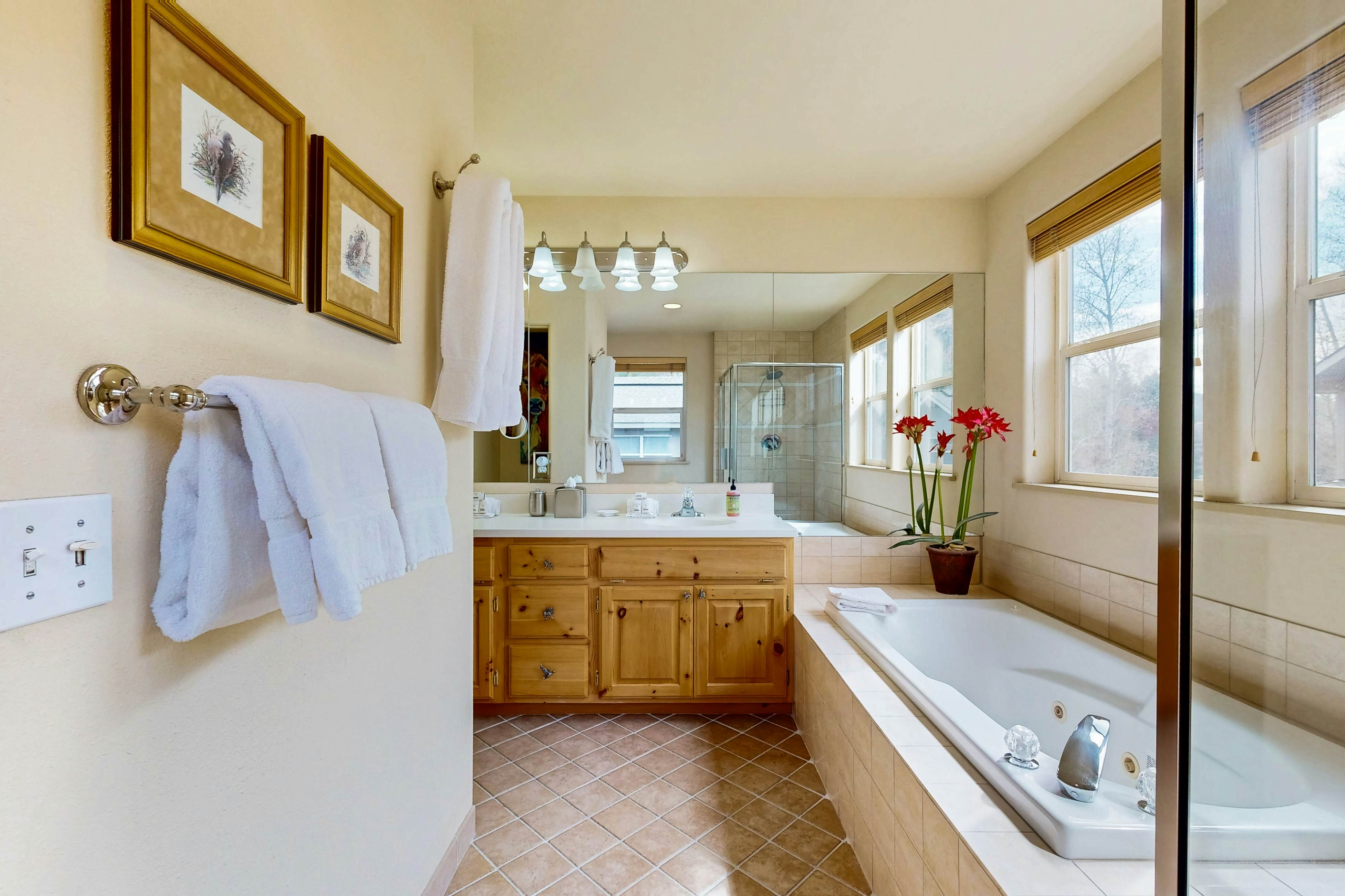 Sun Bird Getaway at River Run A