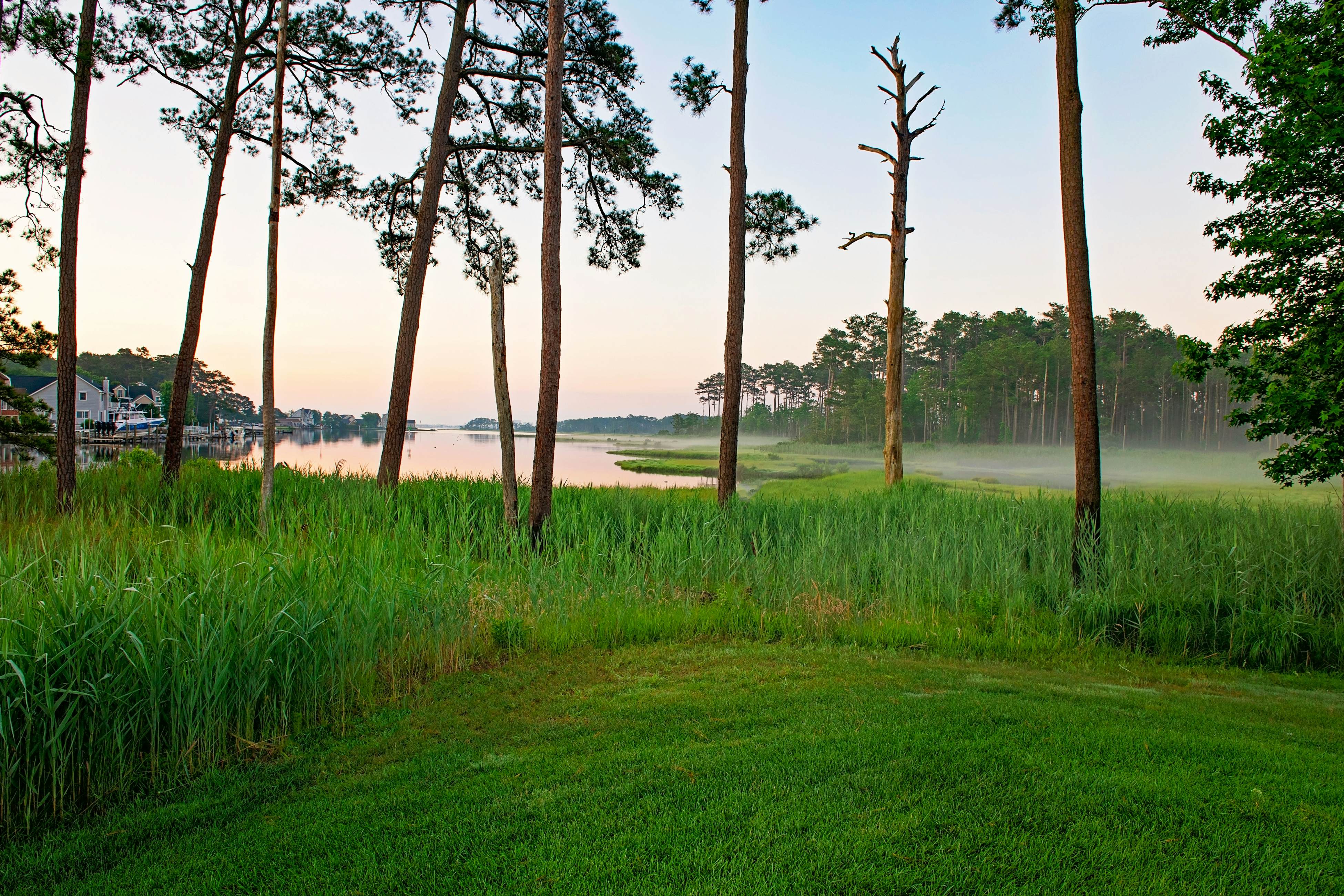 Bayside Resort - 36370 Day Lilly Pkwy