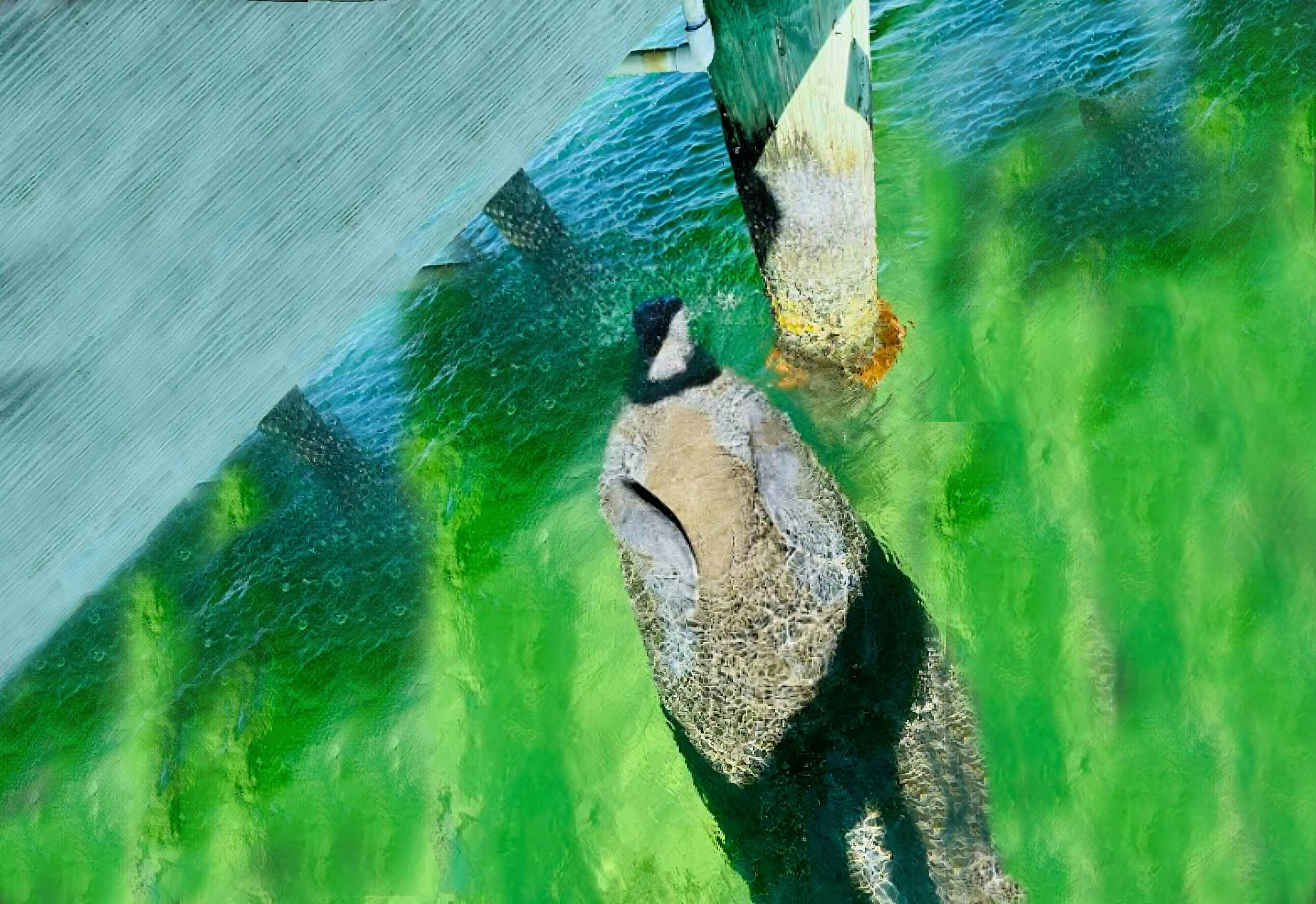 Bayfront Sunset Oasis