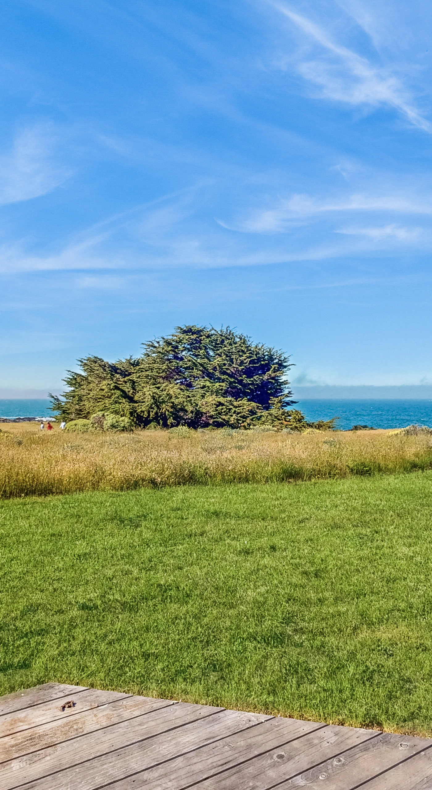 Gaze across the vibrant landscape to the endless ocean, a soothing sight that invites you to explore the nearby beaches.