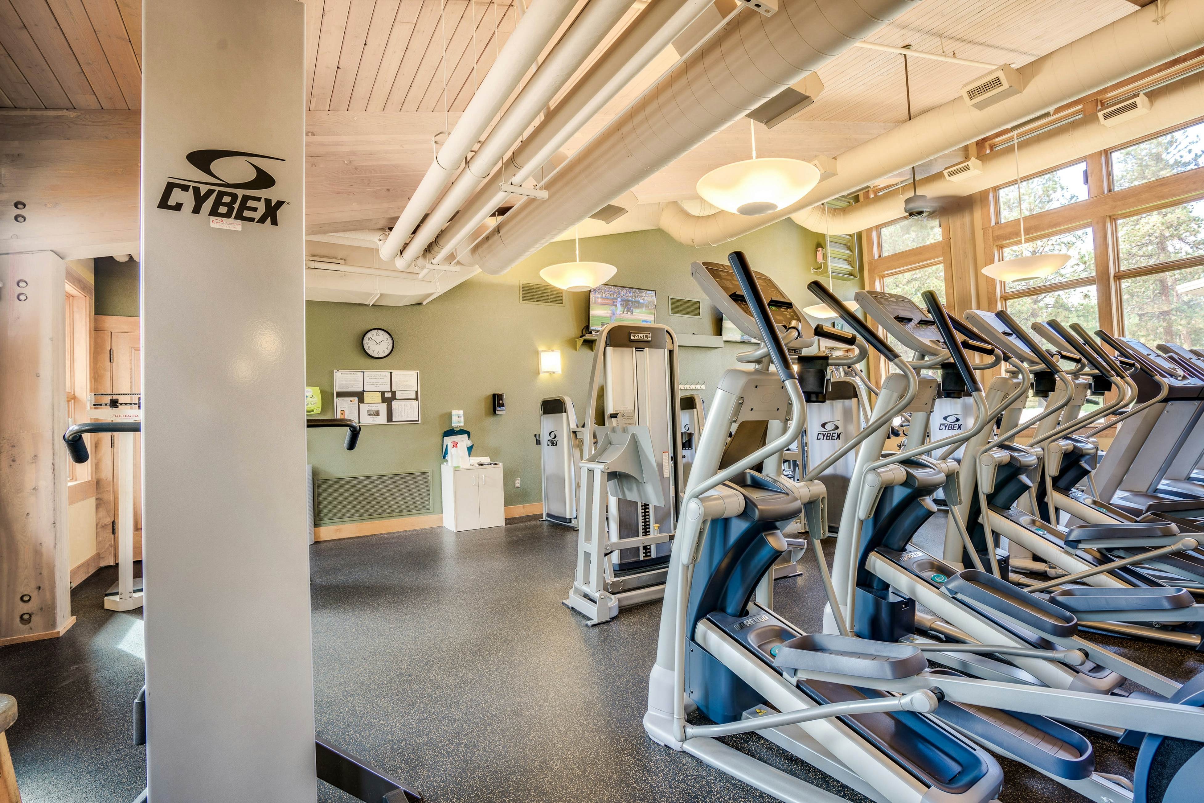 Forest Escape - GM 428