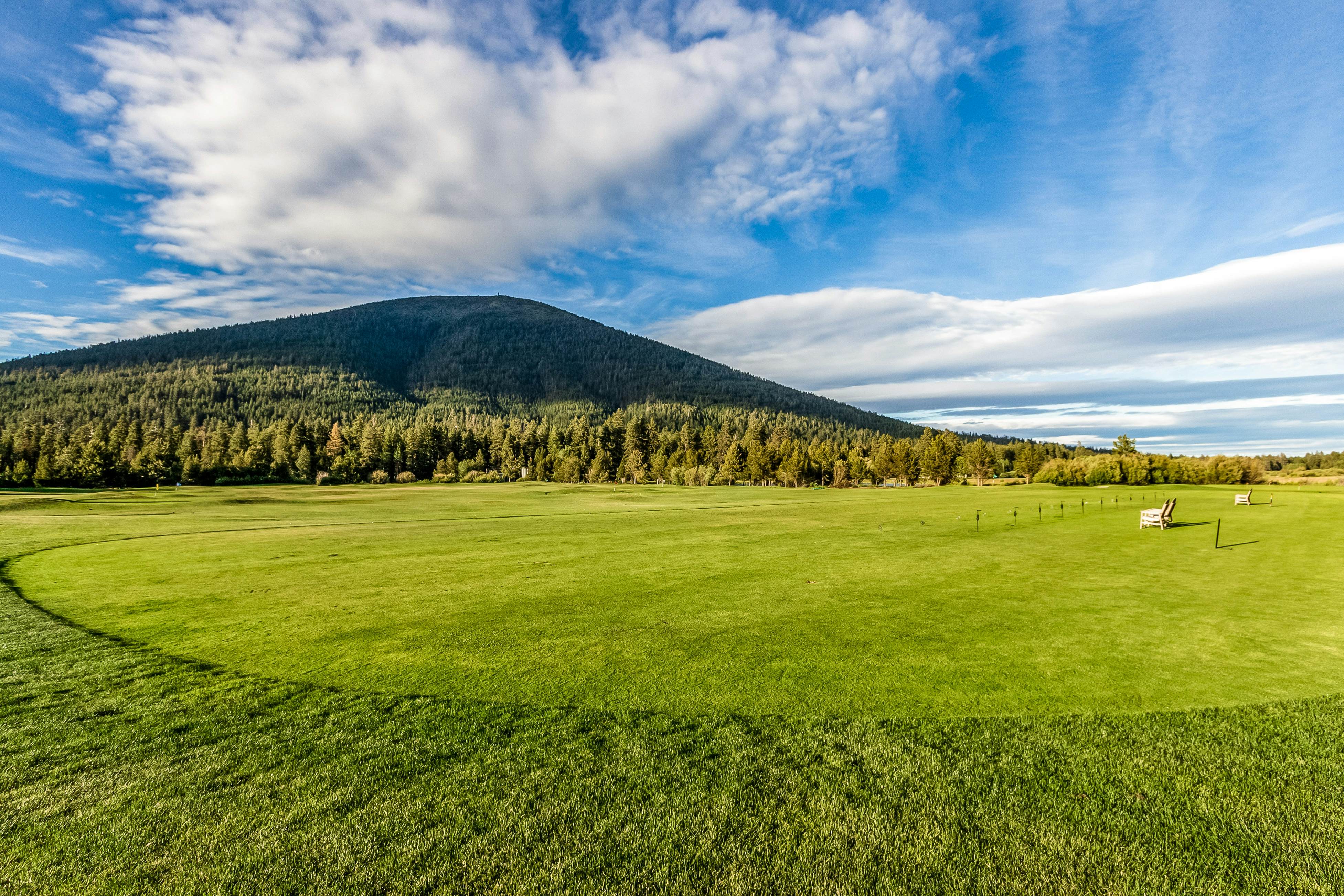 Forest Escape - GM 428