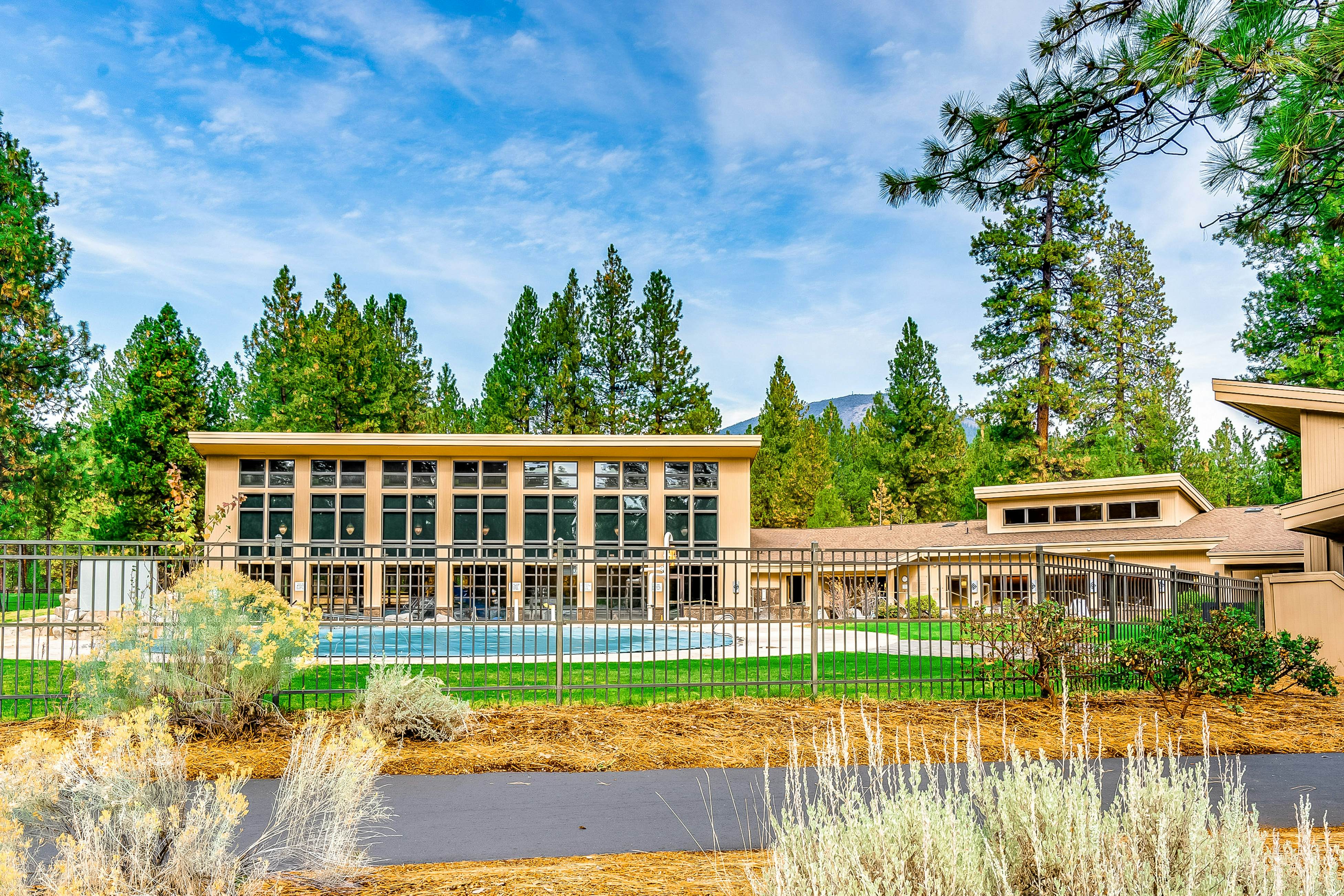 Forest Escape - GM 428