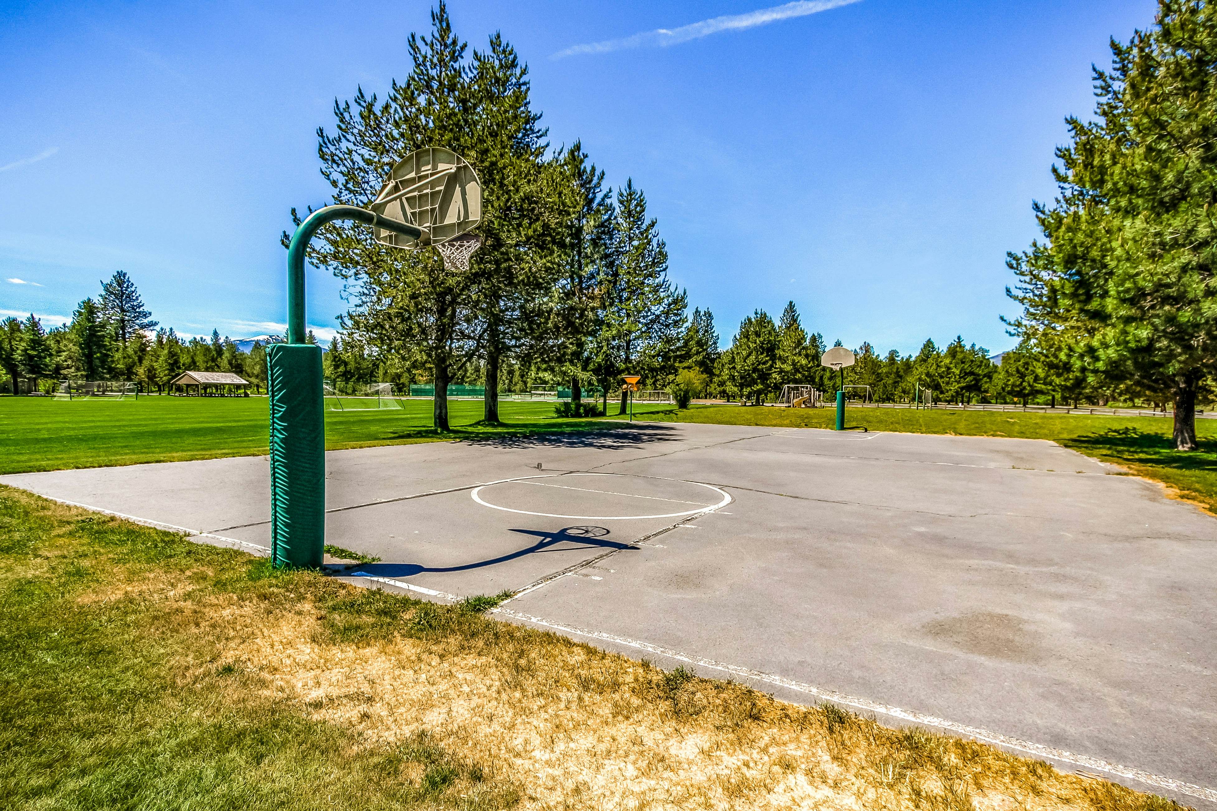 Forest Escape - GM 428