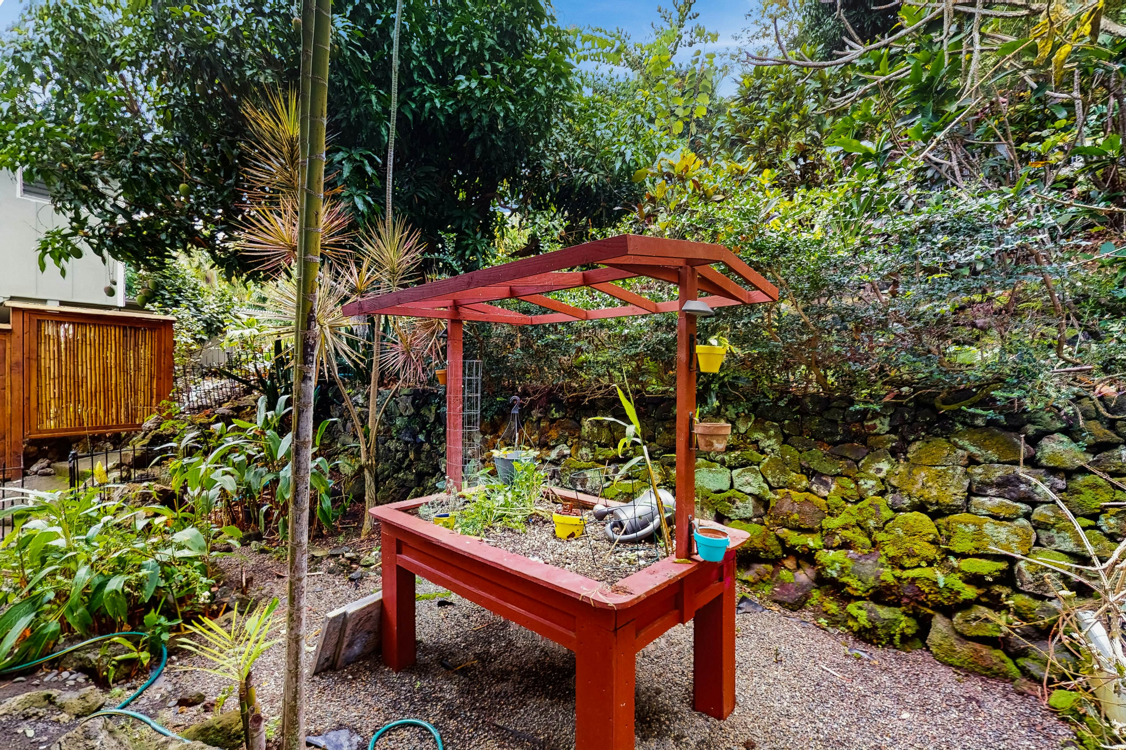 Pualani Island Getaway - Main House & Ohana- 30-night minimum